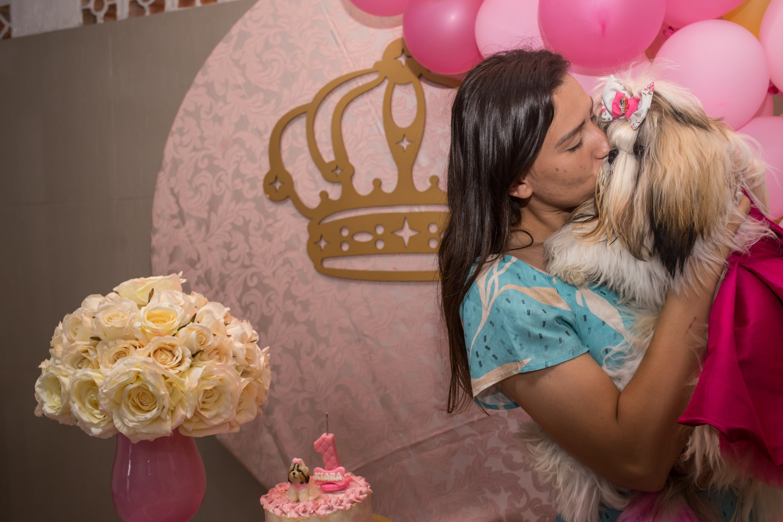 Kiara — 1 aninho. Fotografia Pet — estúdio, eventos, aniversários, ensaios temáticos