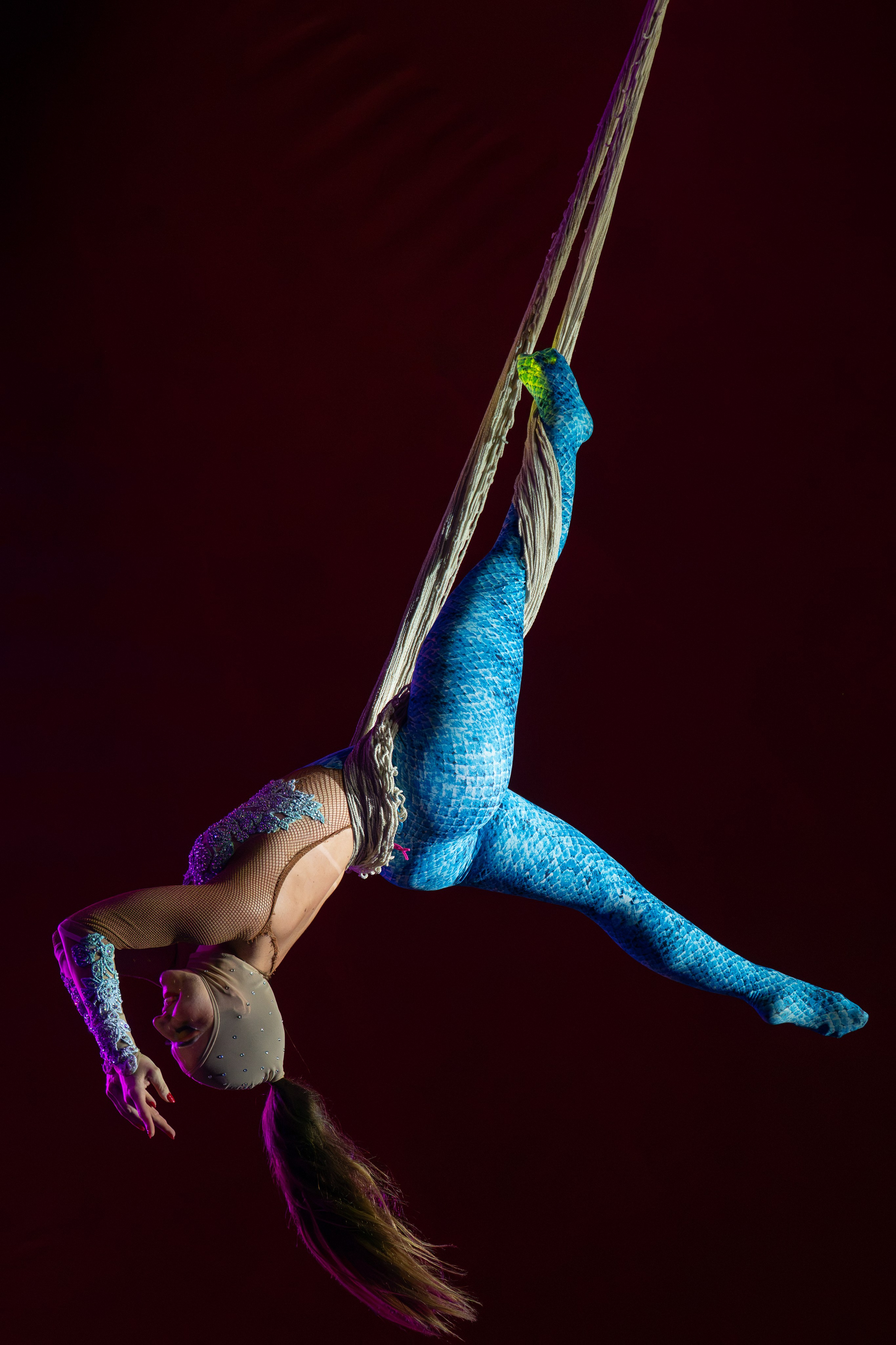 CIRCUS. ©2026 Adriano Escanhuela Photography