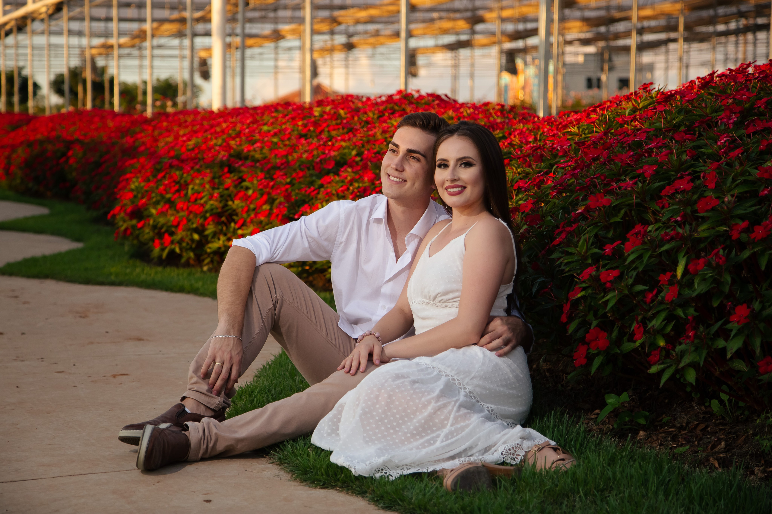 ensaio holambra pre wedding