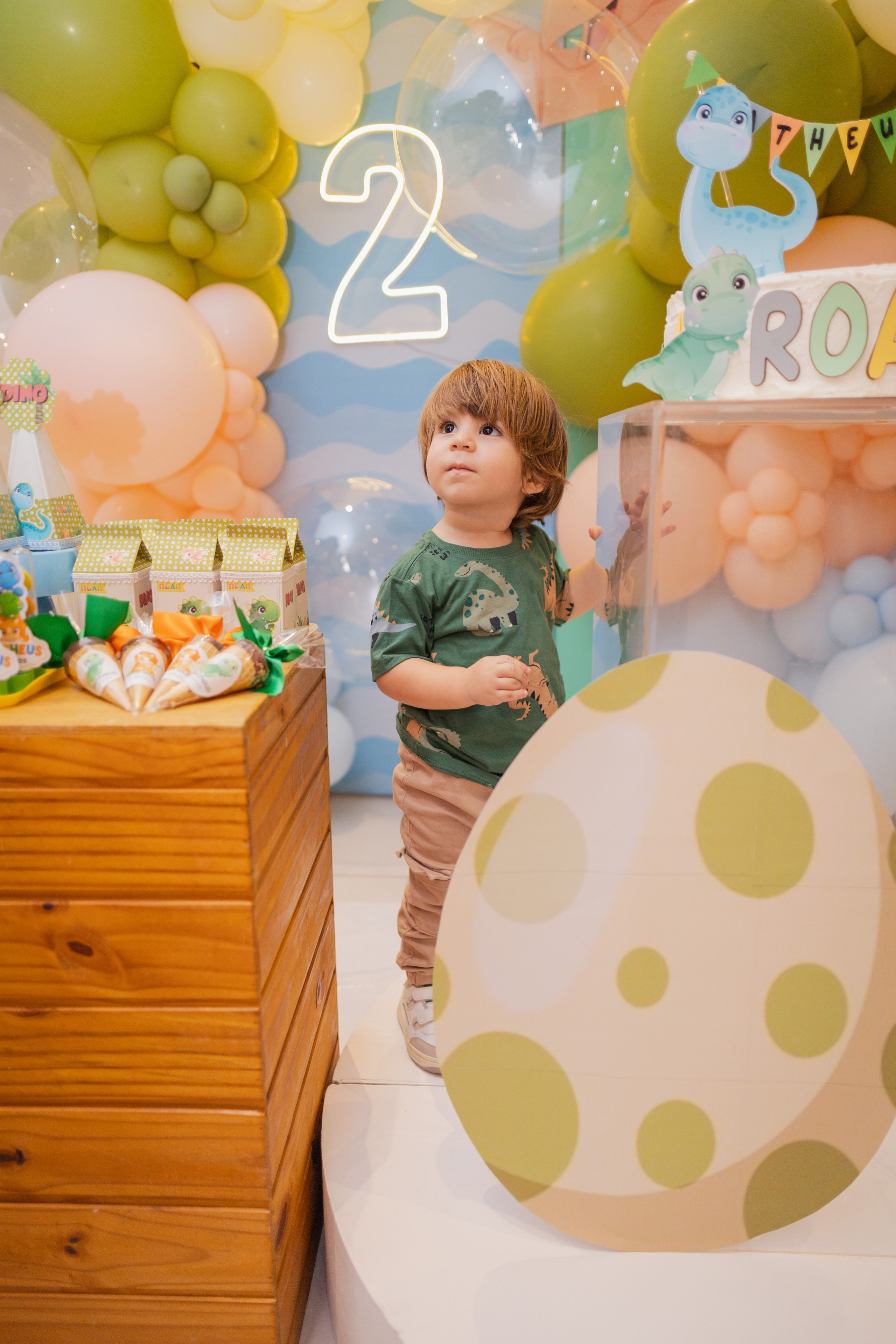 Matheus — 2 Anos. Fotos e filme de partos & famílias