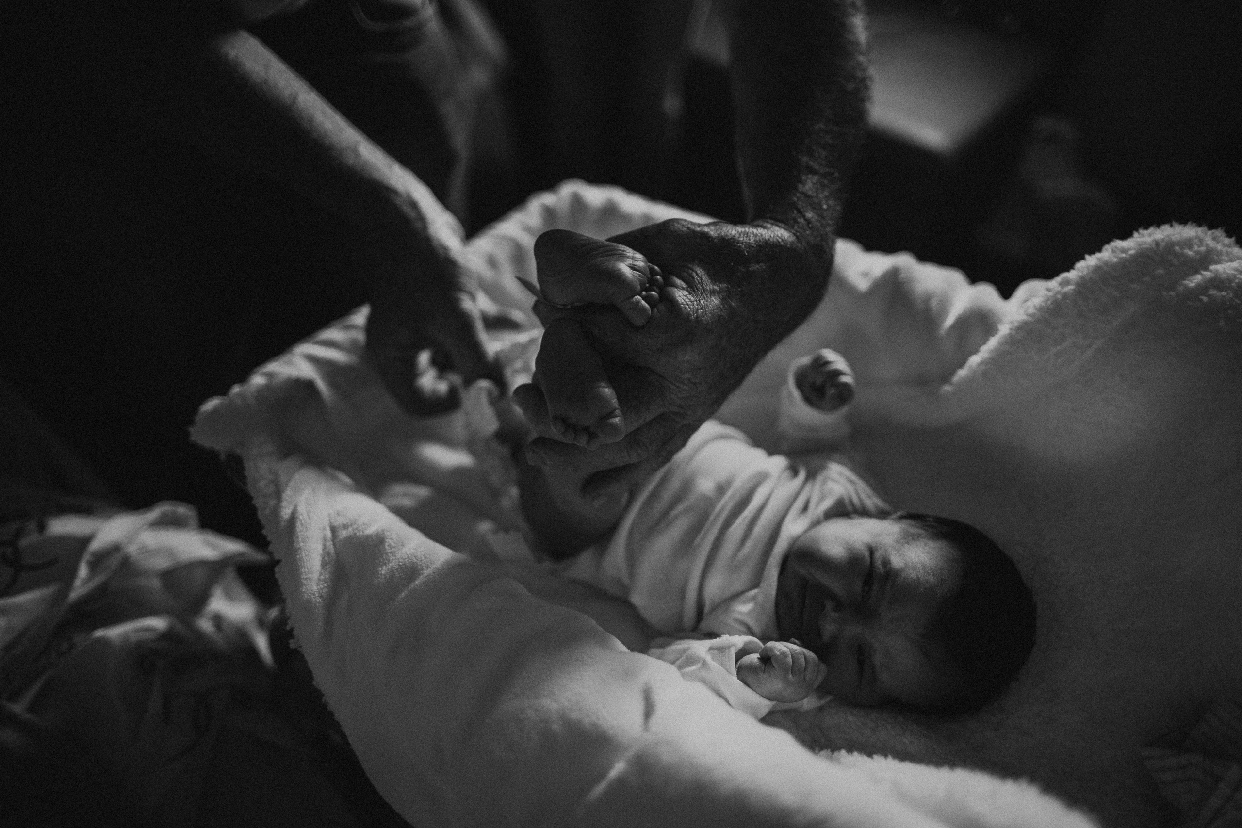 1 день до и после рождения Хелен. Доĸументальный семейный фотограф во Флорианополисе и Санта-Катарине Дарья Ермолаев