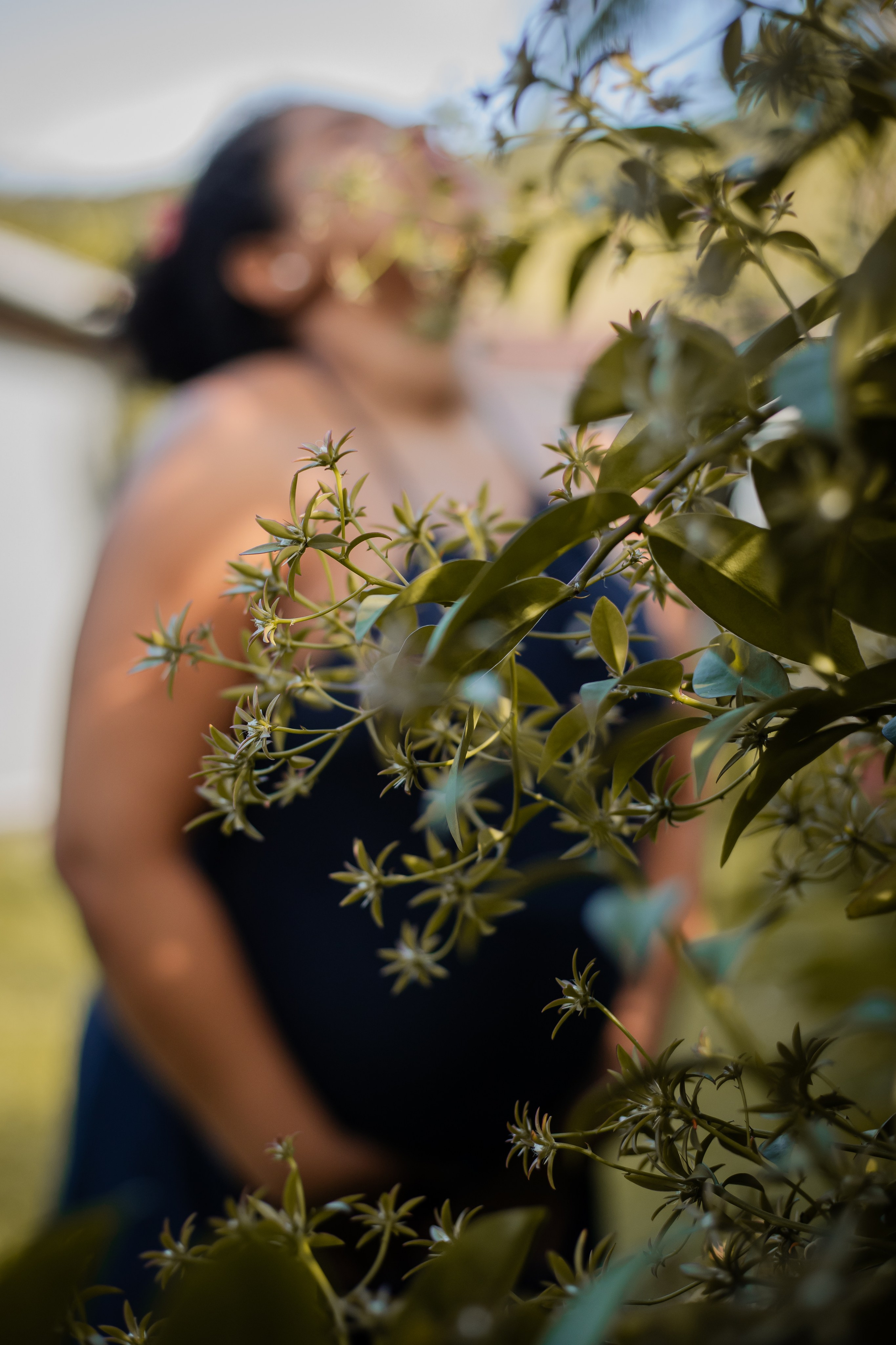 A chegada de Augusto. Fotografa de Família Jaque Mesquita