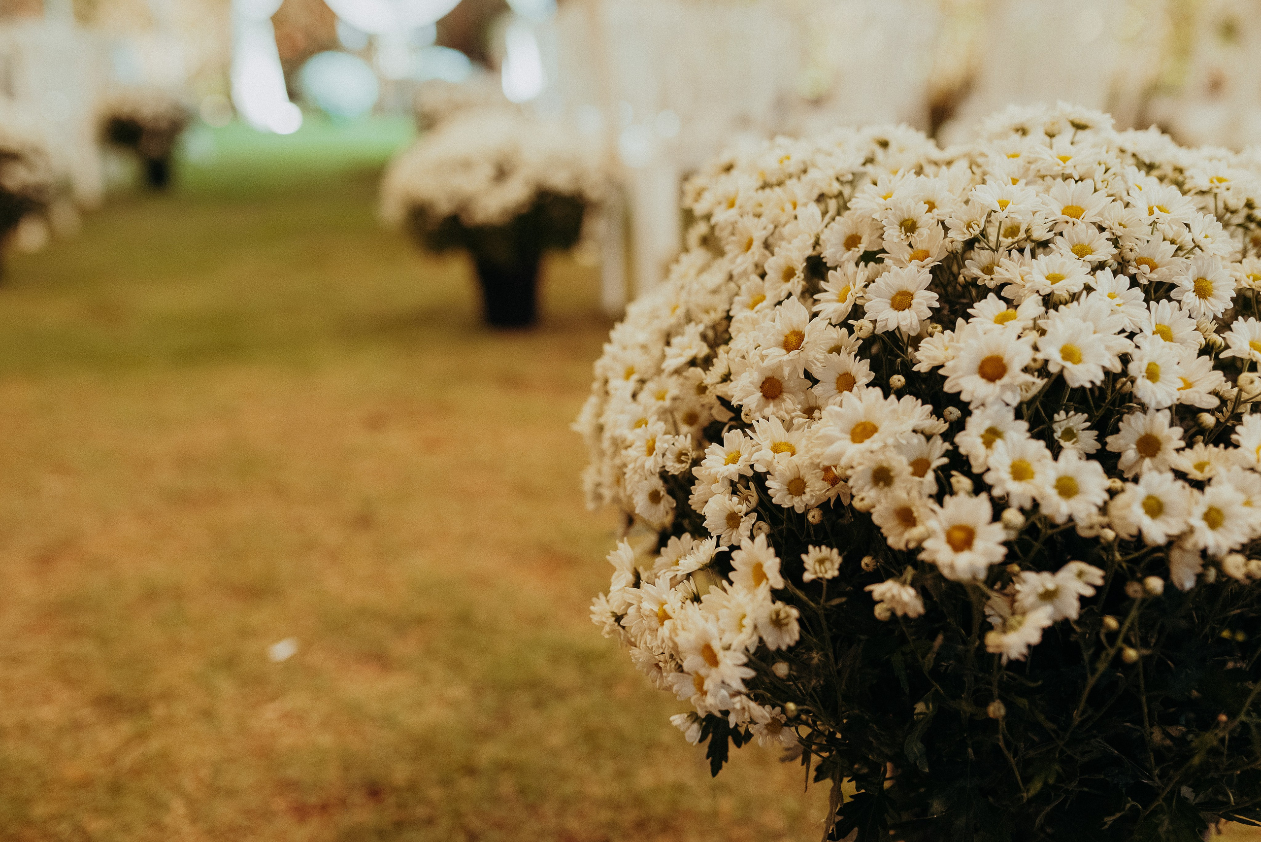 Casamento — Estéfani e Jean. Kaiky Oliveira — Fotógrafo de Casamentos, retratos, gestantes e de sentimentos!