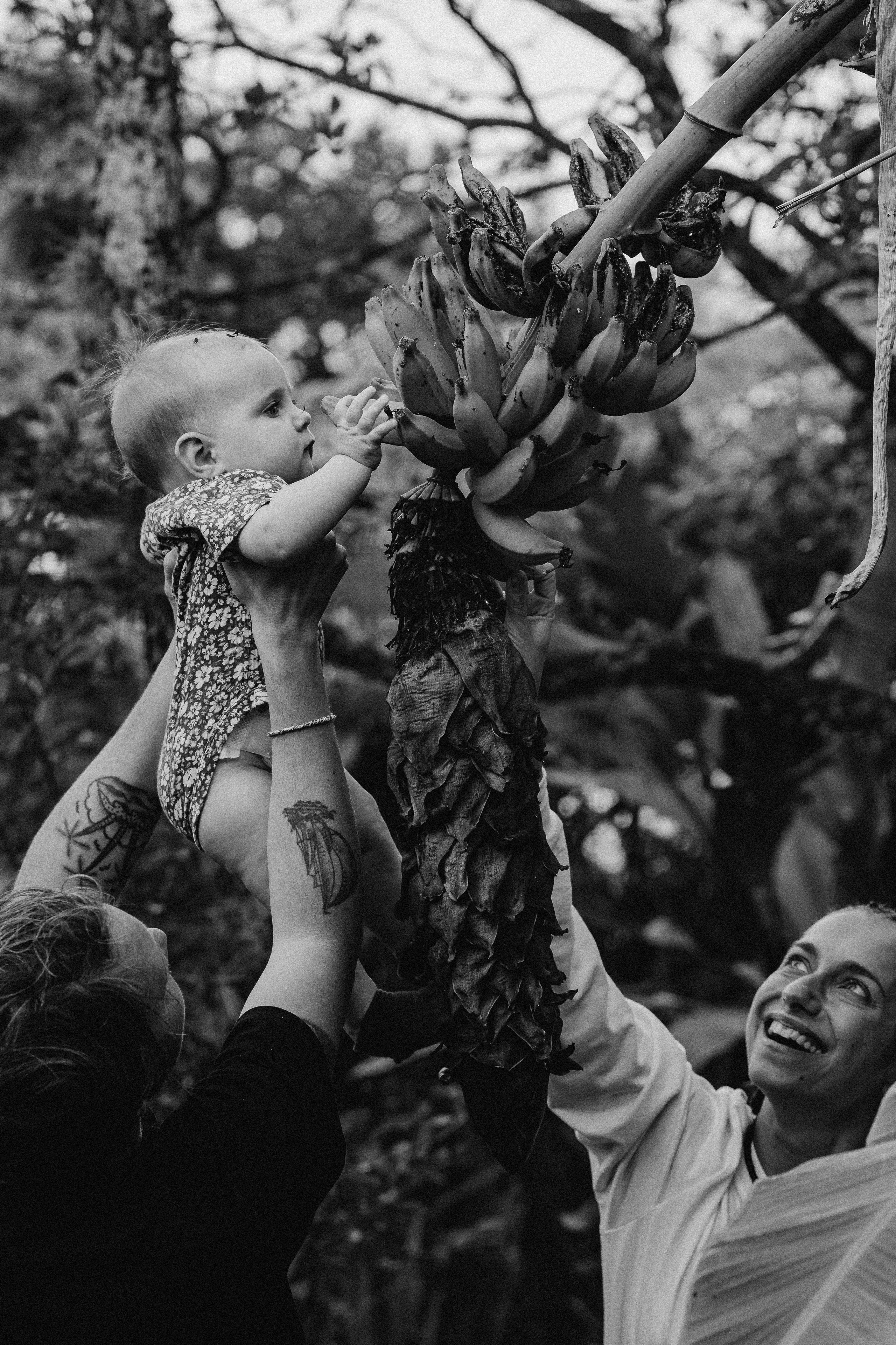 Nastya Dima Gabriela. Fotografa documental de familia e nascimento em Florianópolis SC Daria Ermolaev