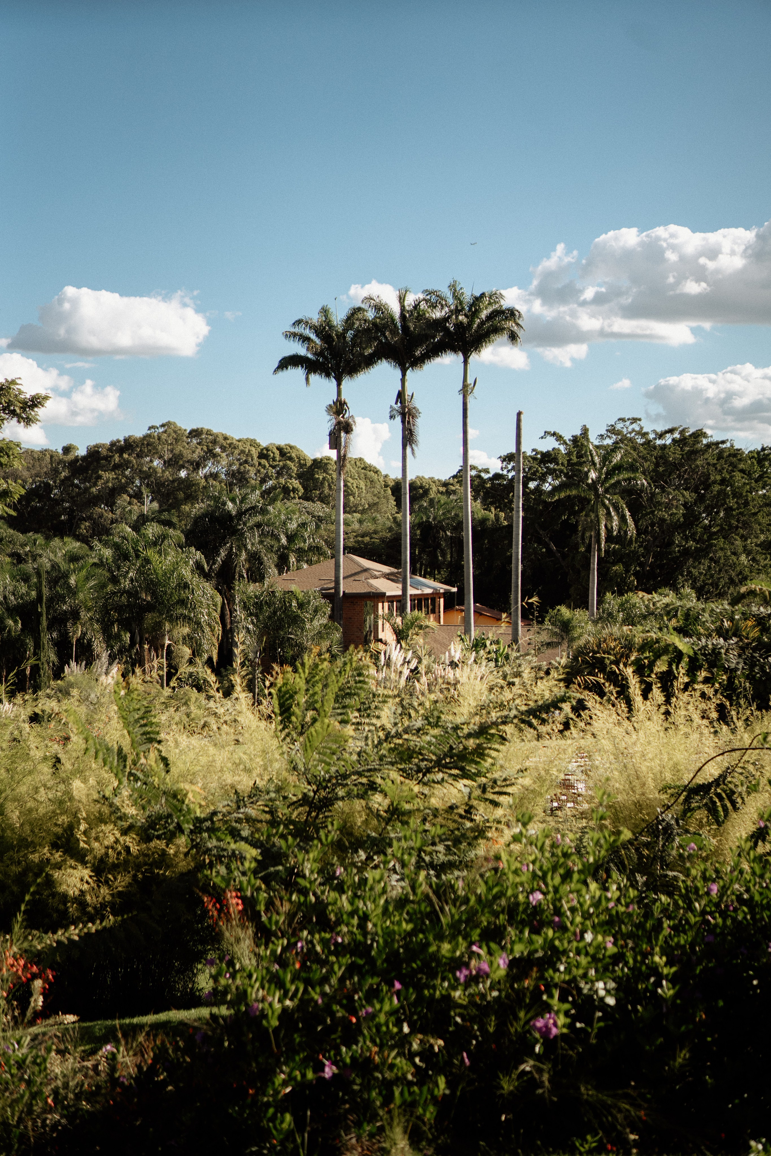 Amanda & Gustavo. Congiu Wedding