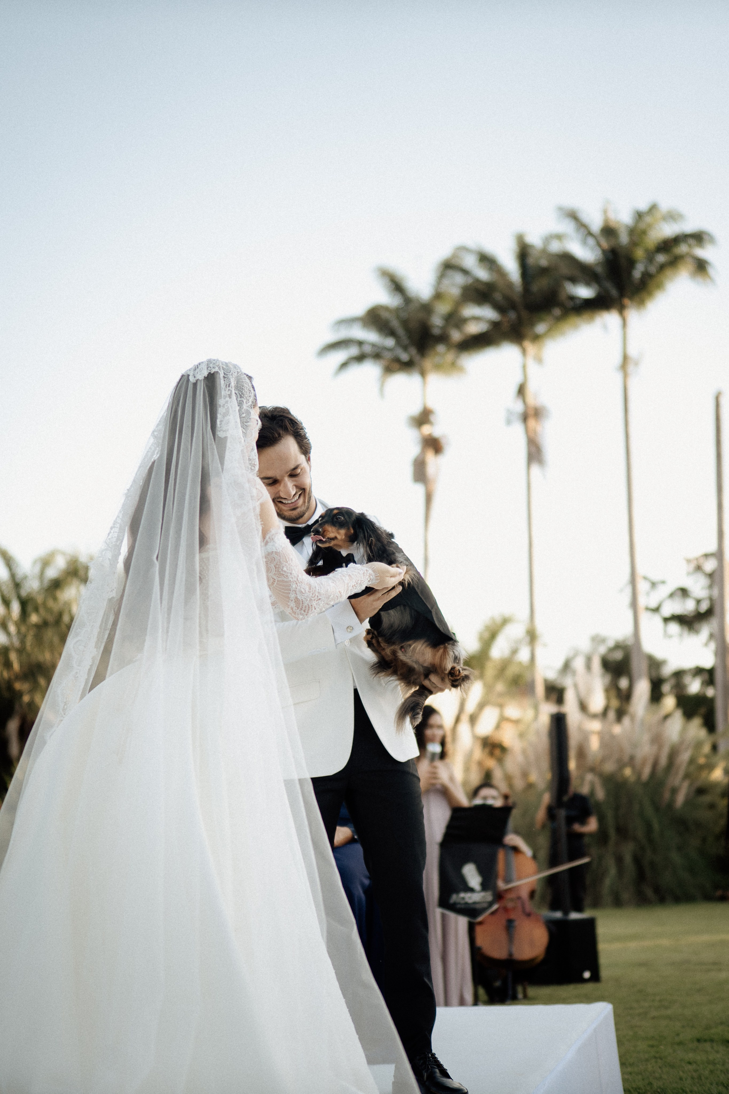Amanda & Gustavo. Congiu Wedding