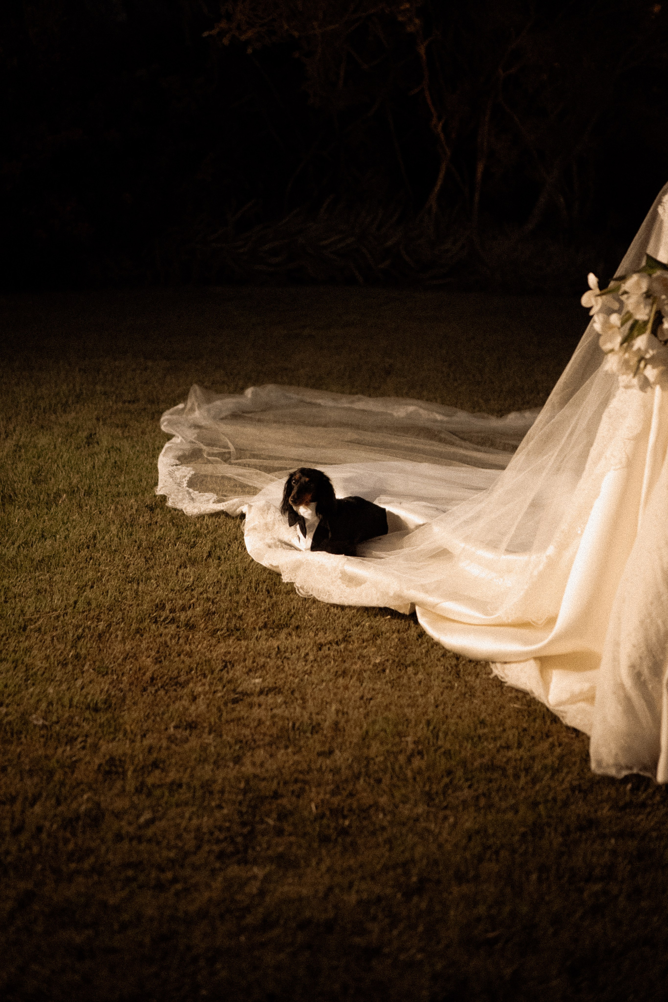 Amanda & Gustavo. Congiu Wedding