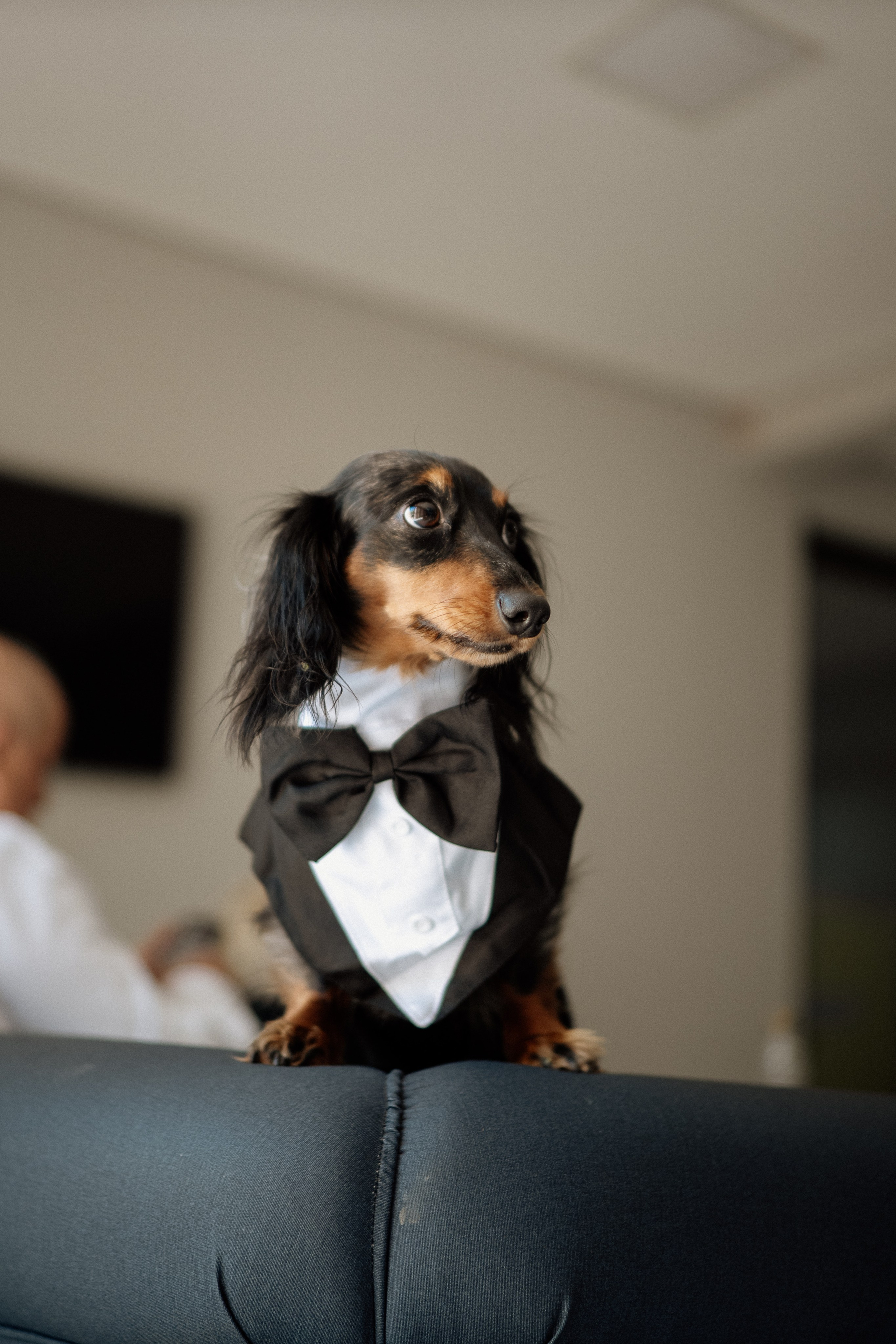 Amanda & Gustavo. Congiu Wedding