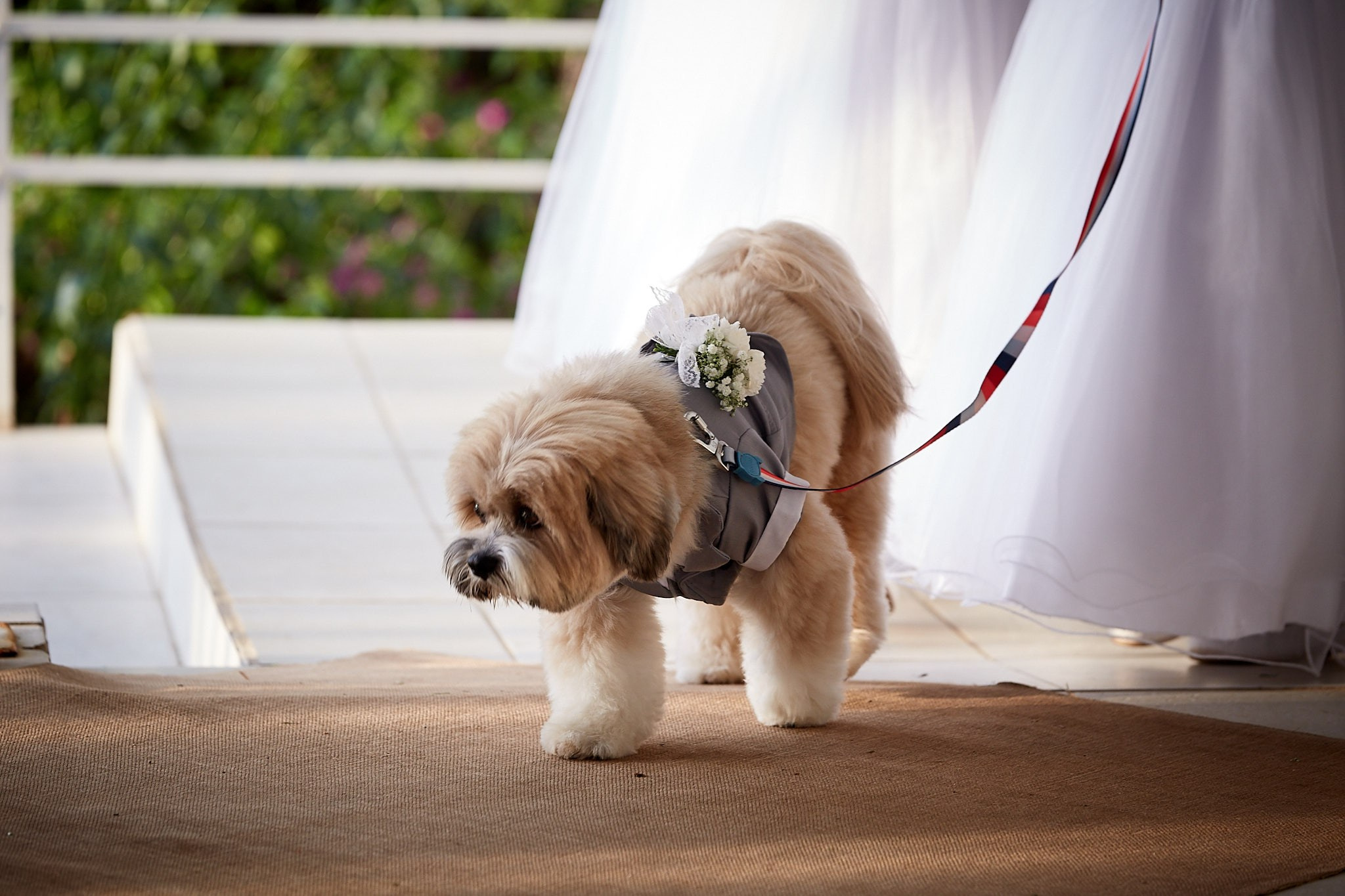 Casamento Tânia e Zé. Fotógrafo de casamentos em Florianópolis