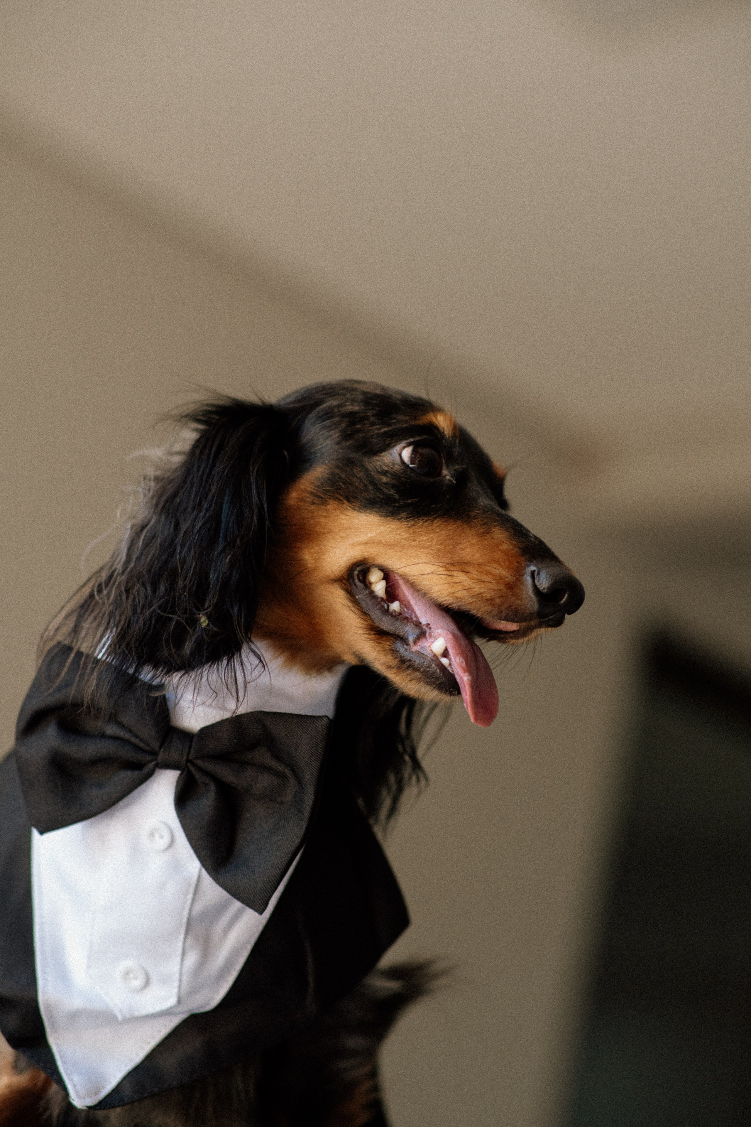 Amanda & Gustavo. Congiu Wedding