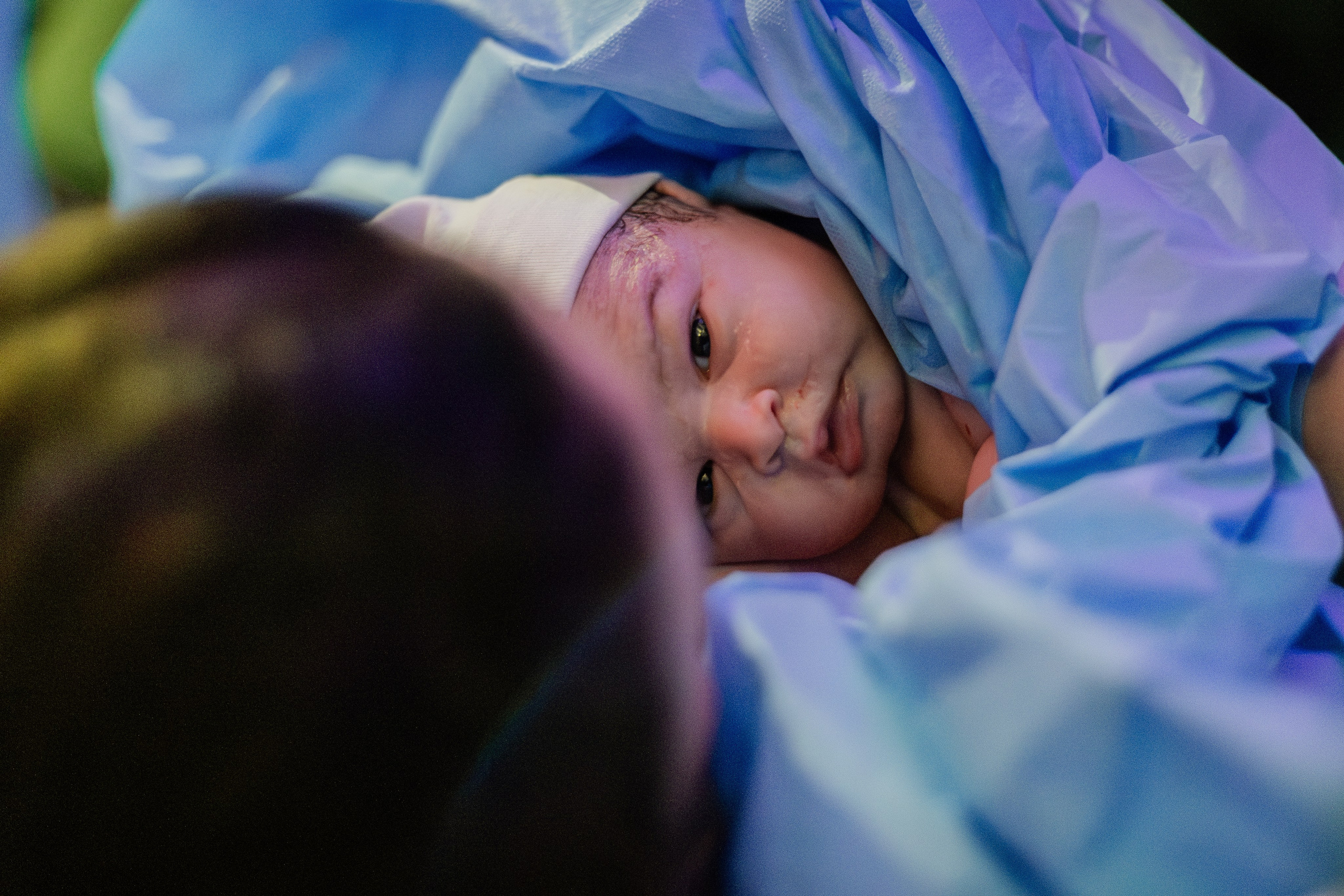 A chegada de Luca Gustavo. Fotografa de Família Jaque Mesquita
