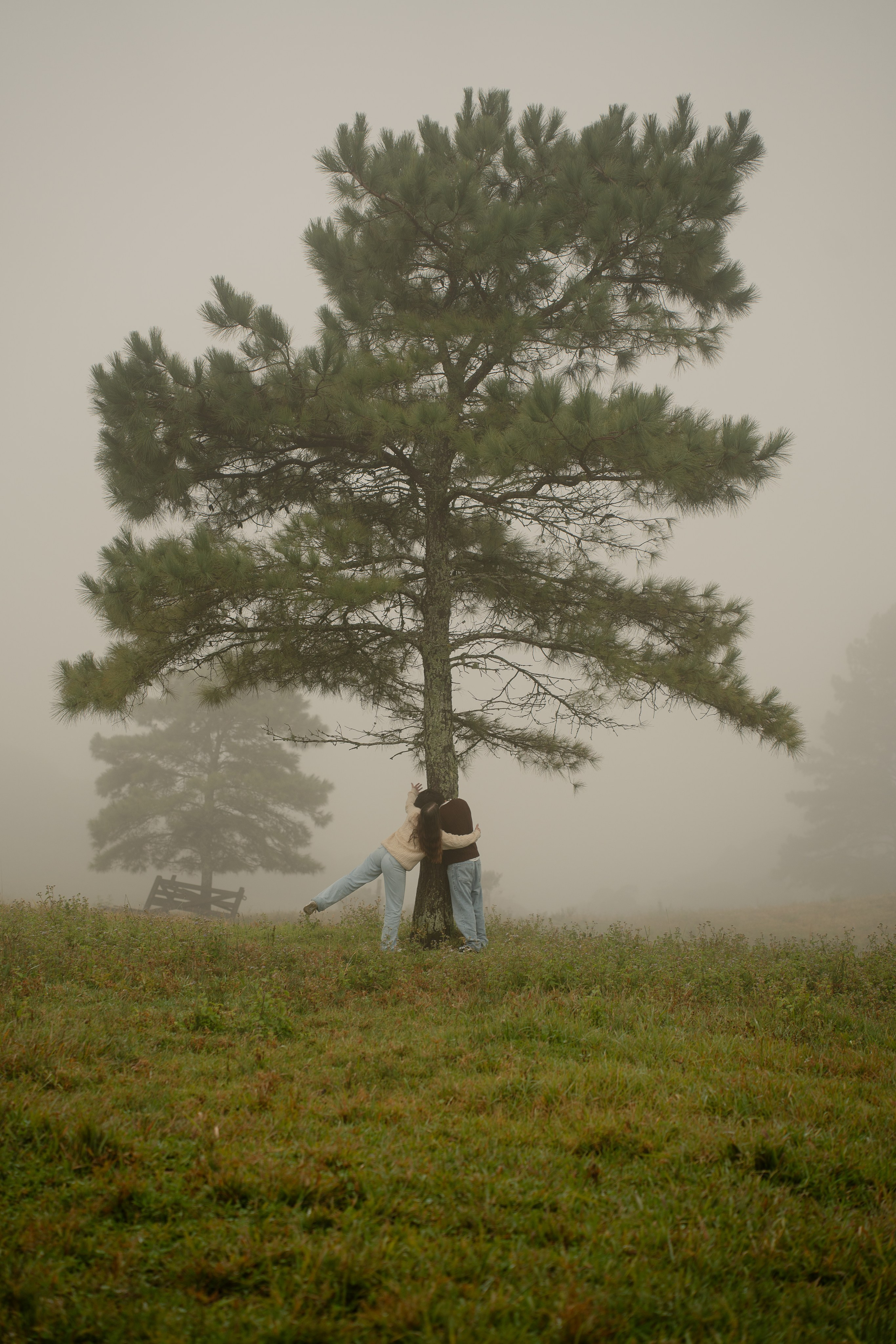 Fran e Gustavo. VIVEZA FOTOGRAFIA
