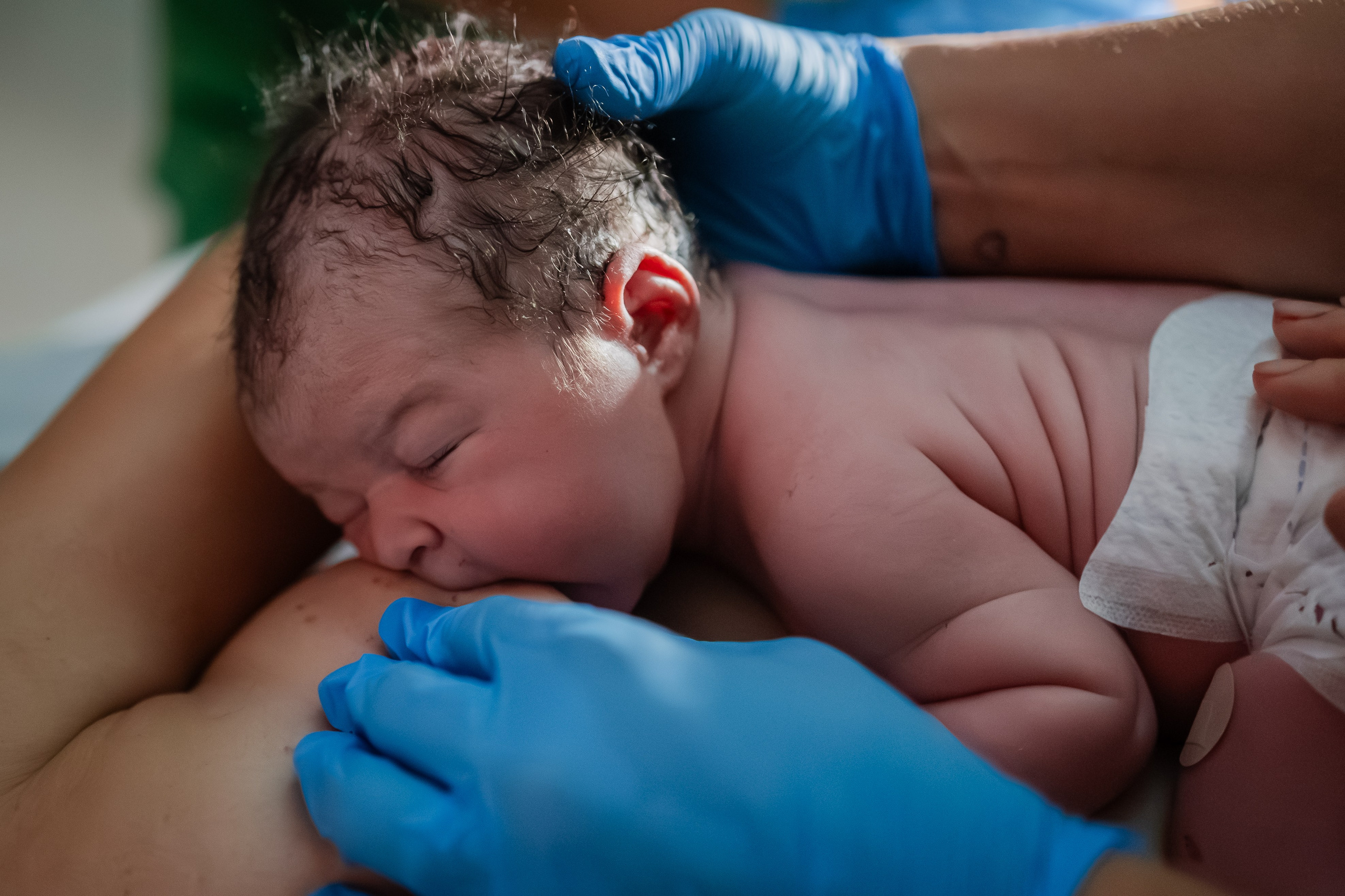 A chegada de Luca Gustavo. Fotografa de Família Jaque Mesquita