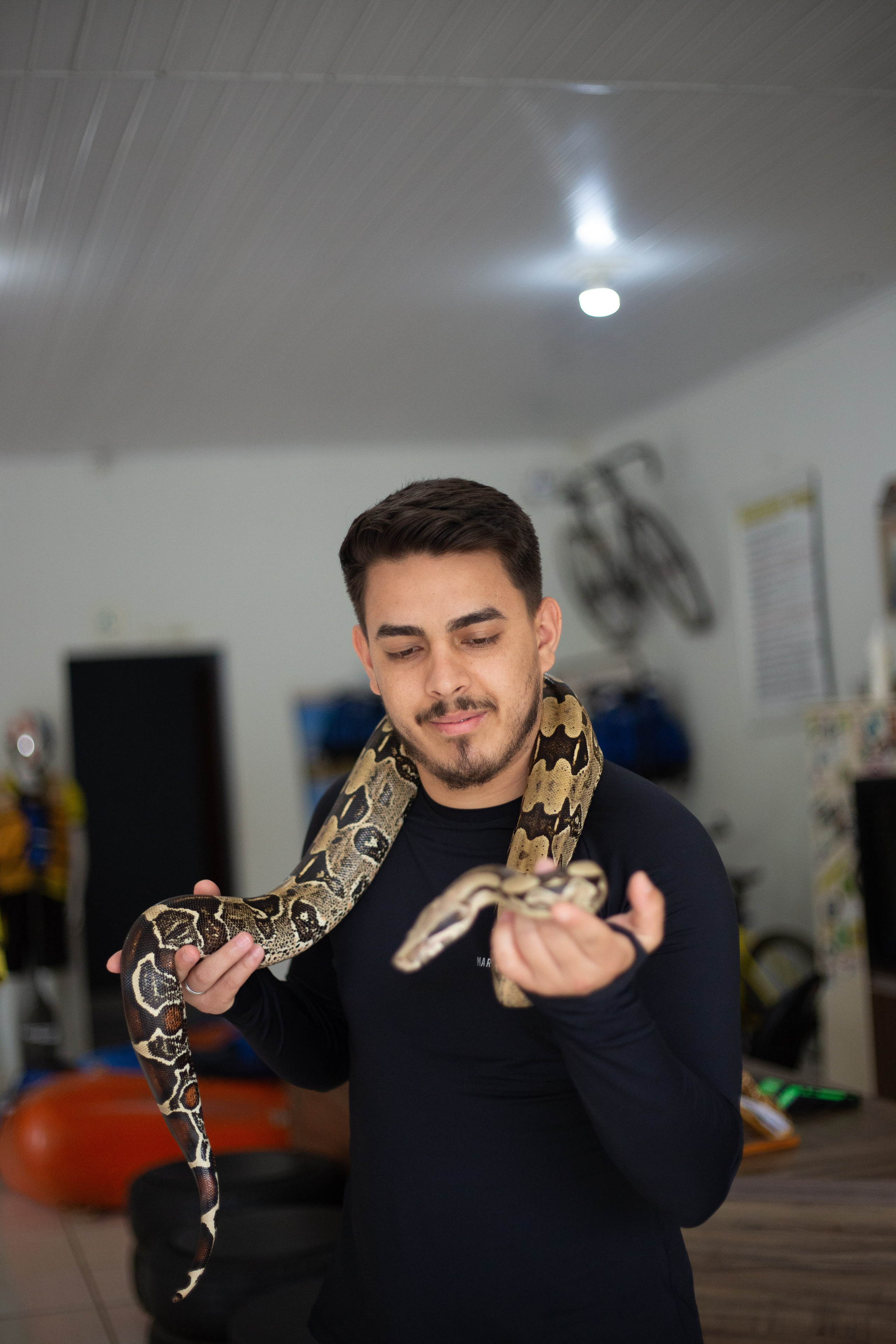 Aventuras. Lumiere Filmes e Fotos