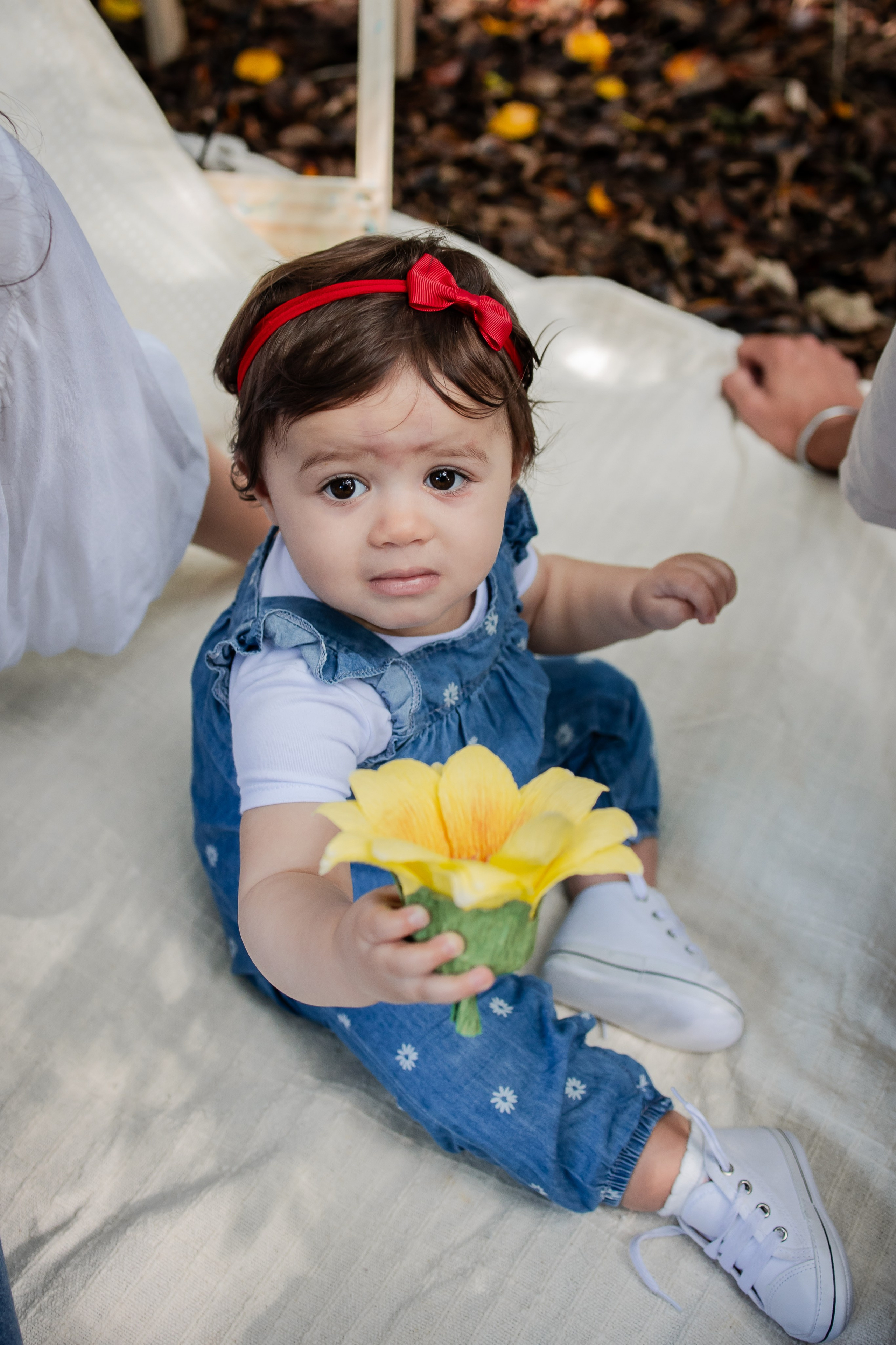 Ensaio — Giovana 1 ano. Fotografa de Família Jaque Mesquita