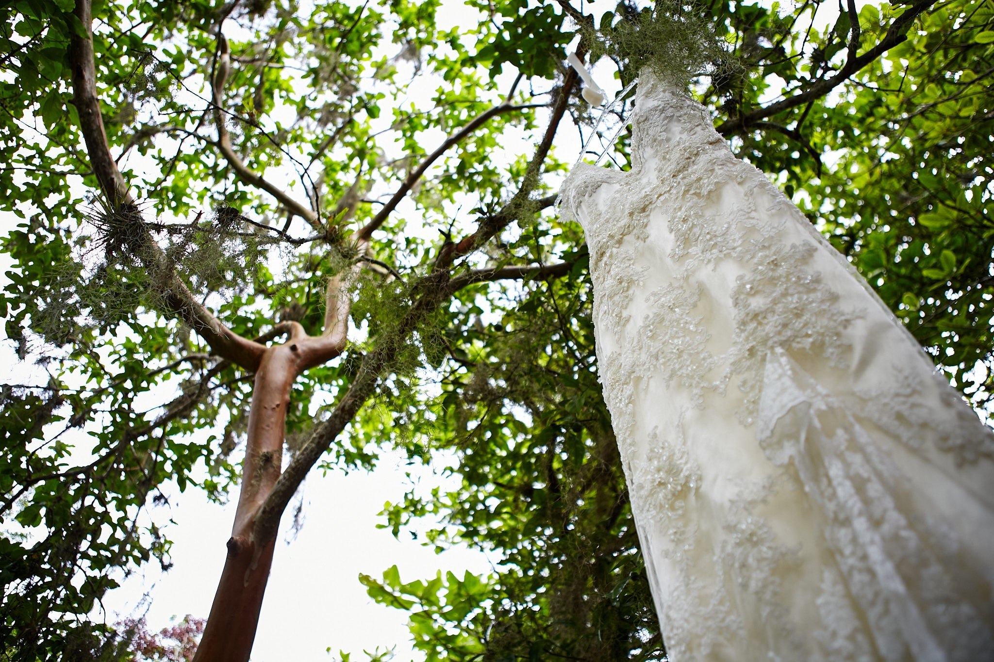 Casamento Letícia e Rodrigo. Fotógrafo de casamentos em Florianópolis