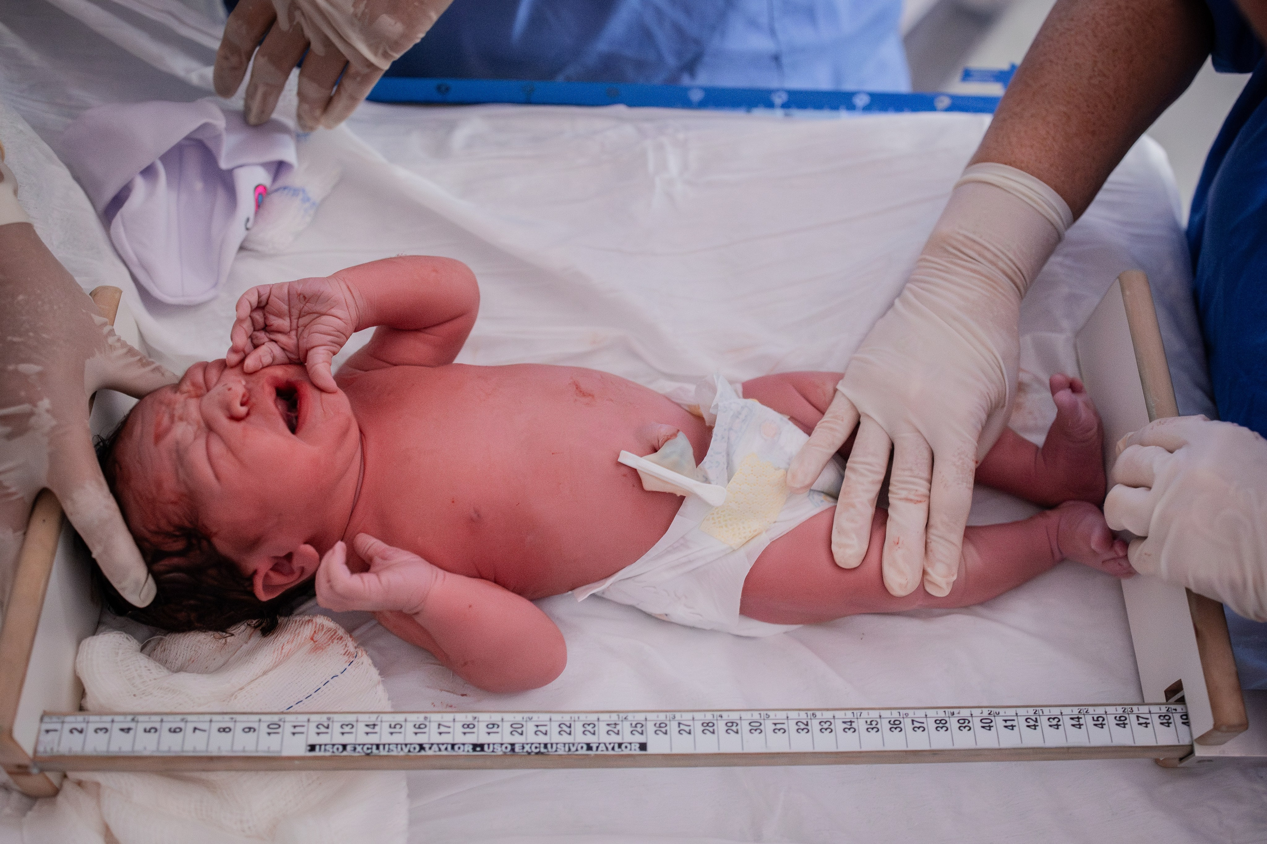 A chegada de Maria Flor. Fotografa de Família Jaque Mesquita