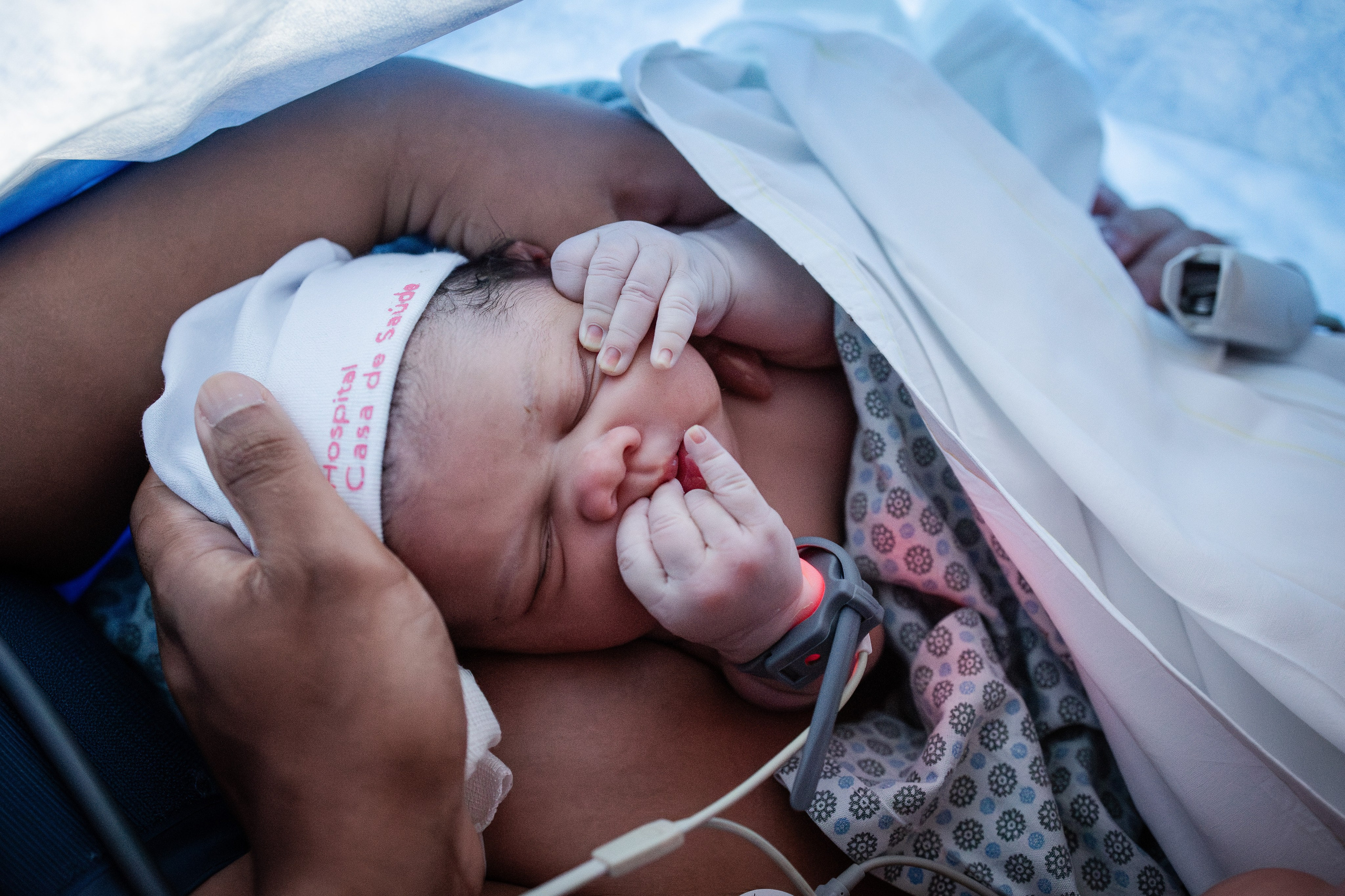 A chegada de Chloe. Fotografa de Família Jaque Mesquita