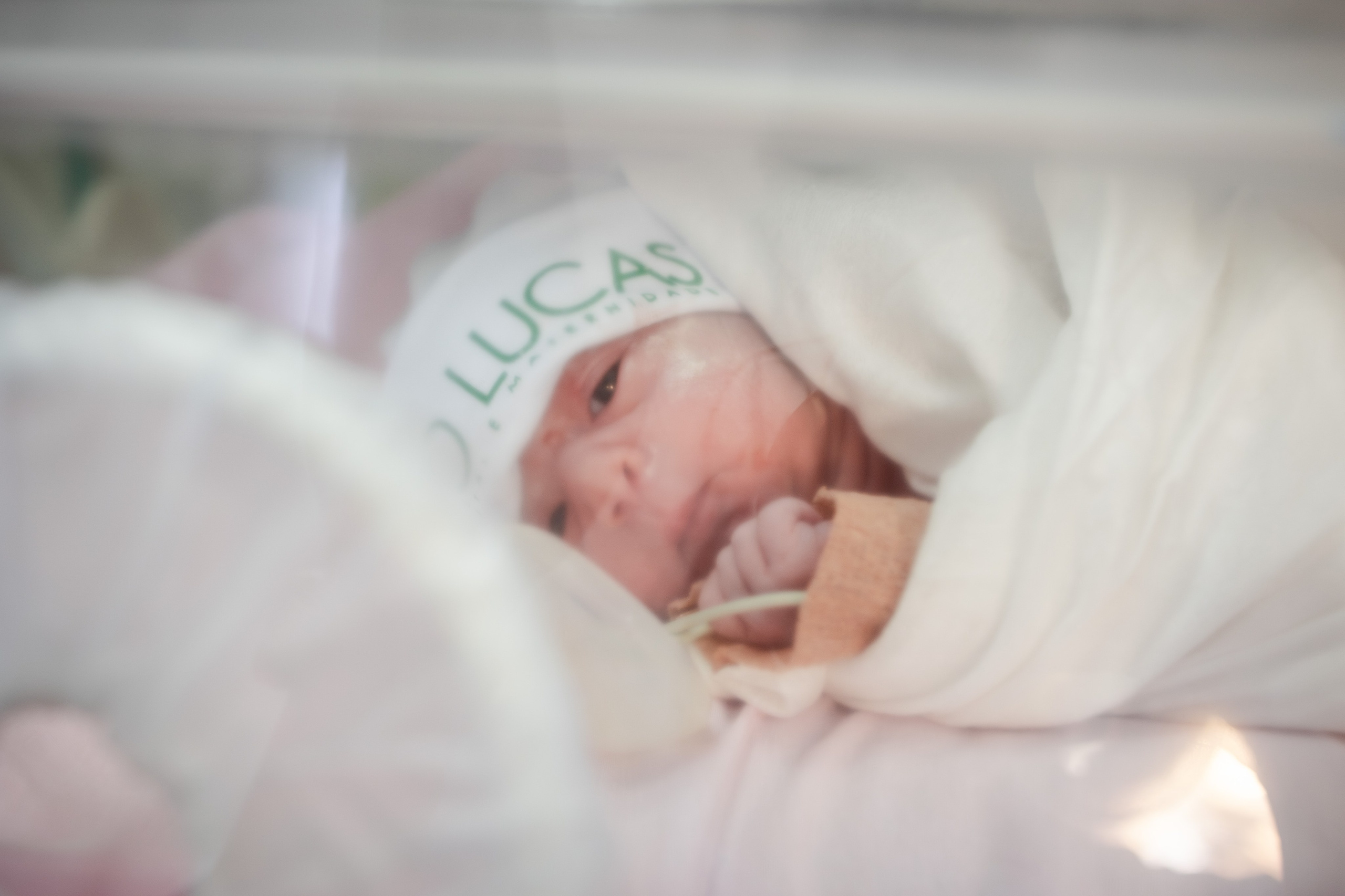 A chegada de Dunya. Fotografa de Família Jaque Mesquita