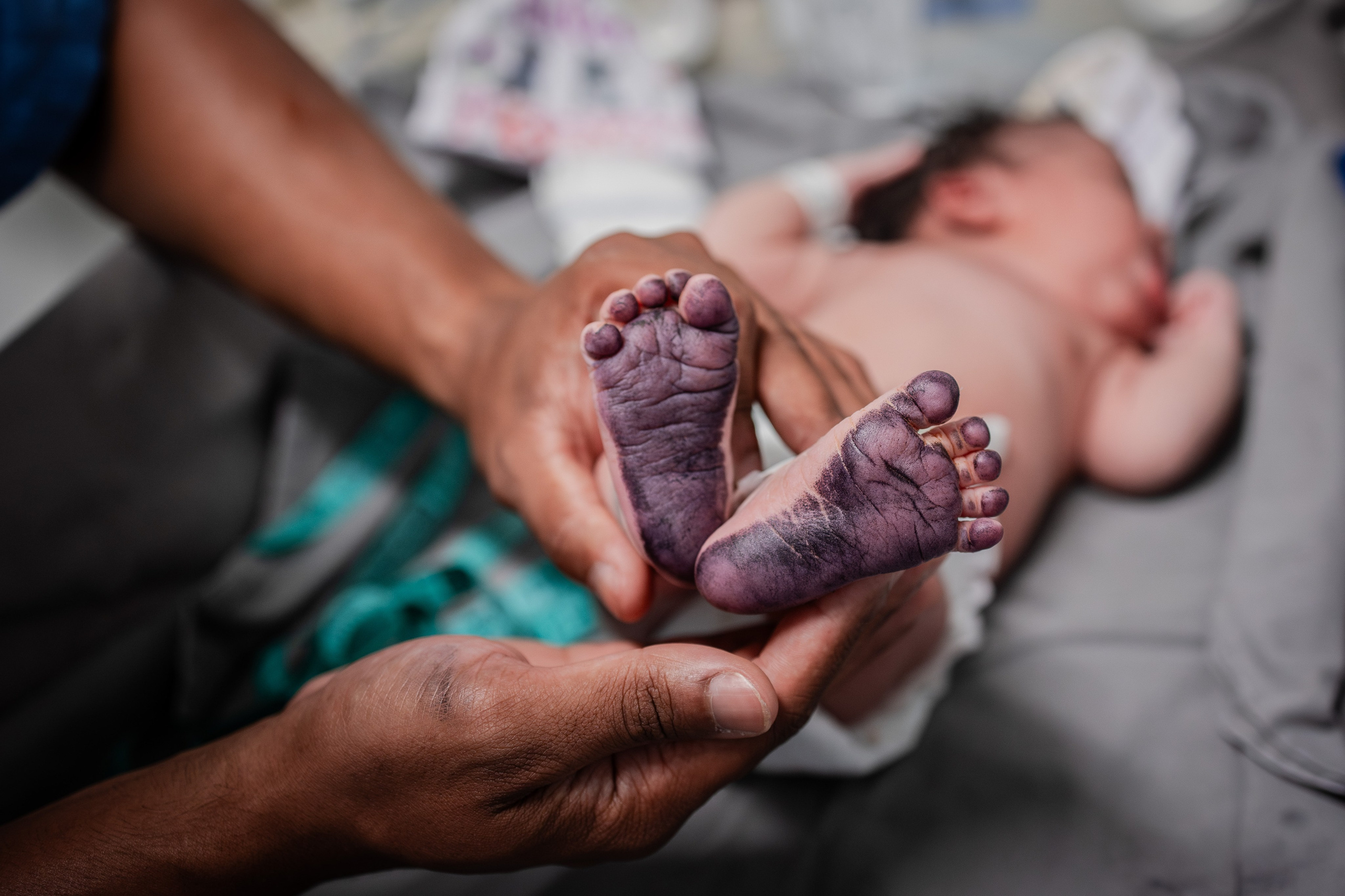 A chegada de Chloe. Fotografa de Família Jaque Mesquita
