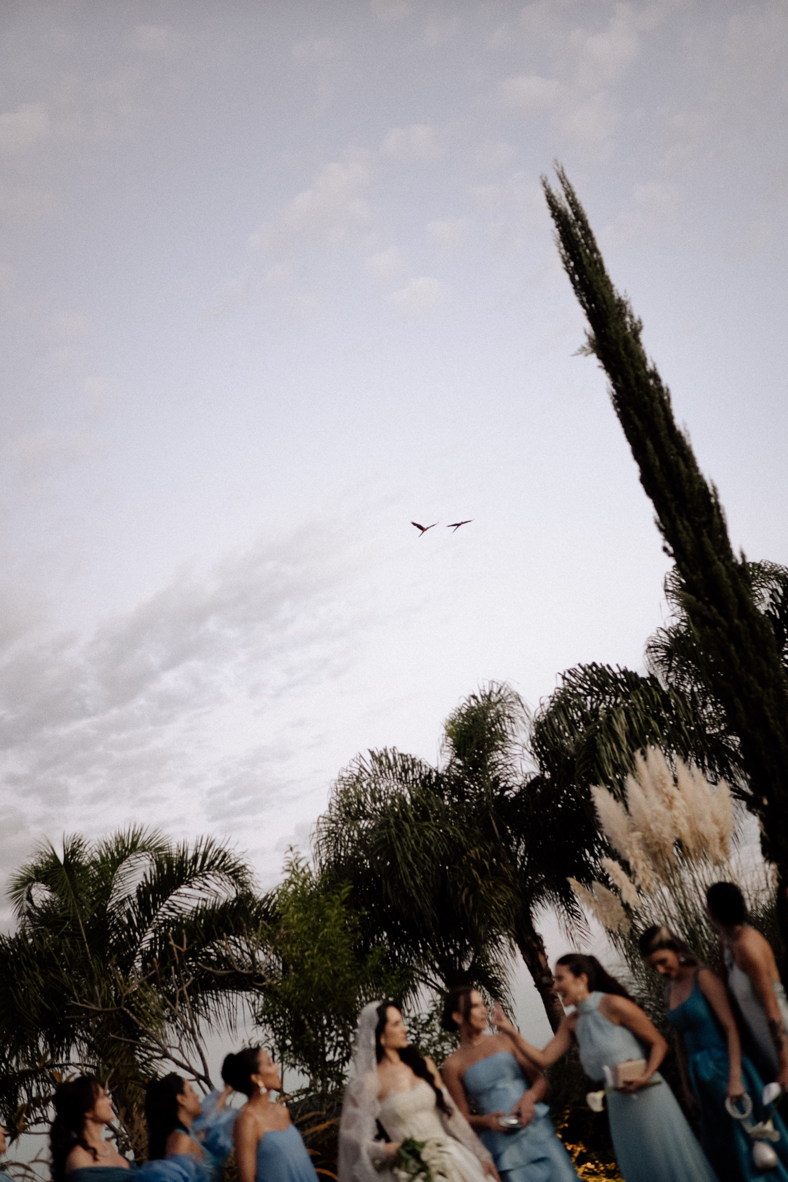 Amanda & Gustavo. Congiu Wedding
