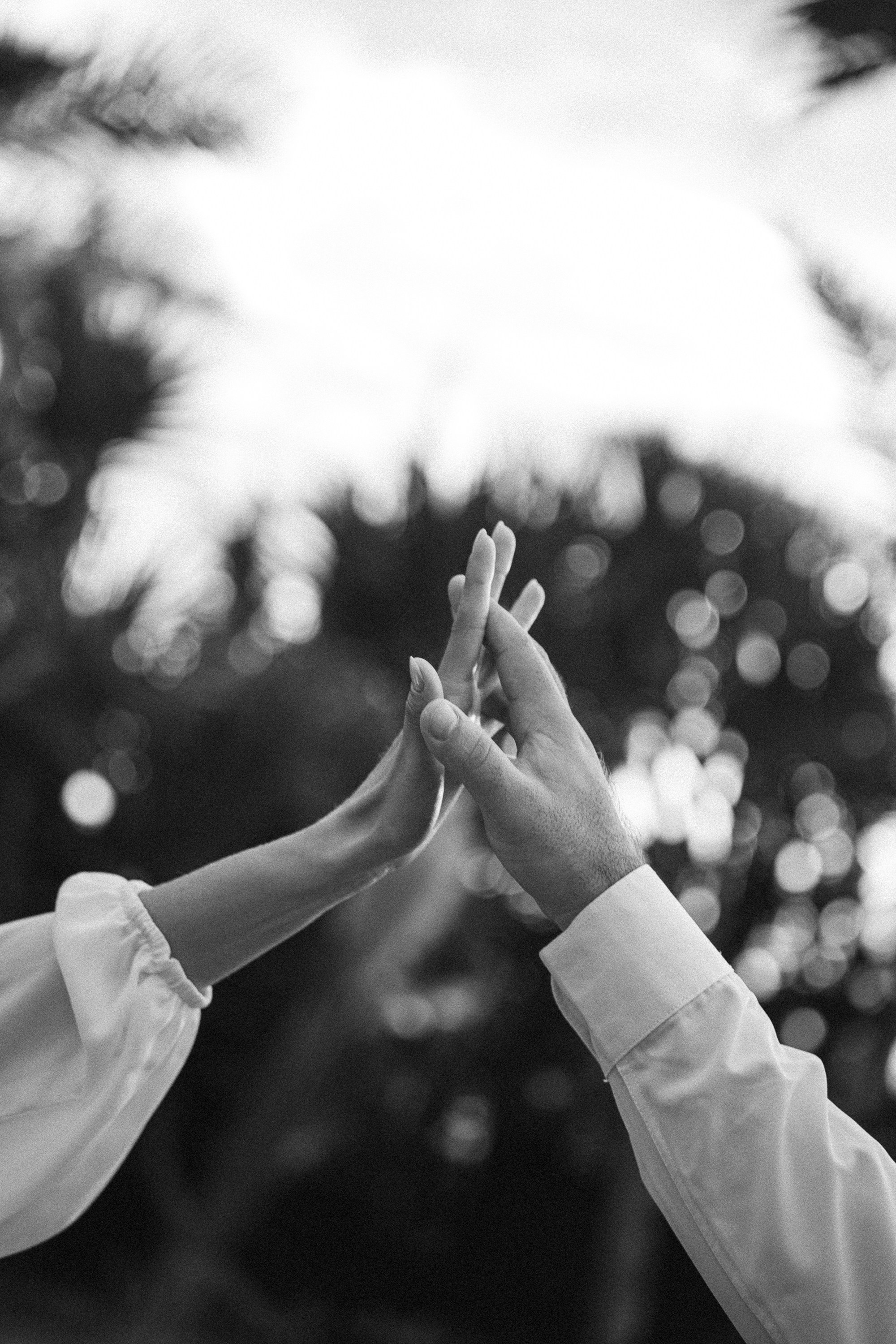 Contato/Orçamento. Igor Ferreira Fotografia | Fotógrafo de Casamento em Belo Horizonte e Região
