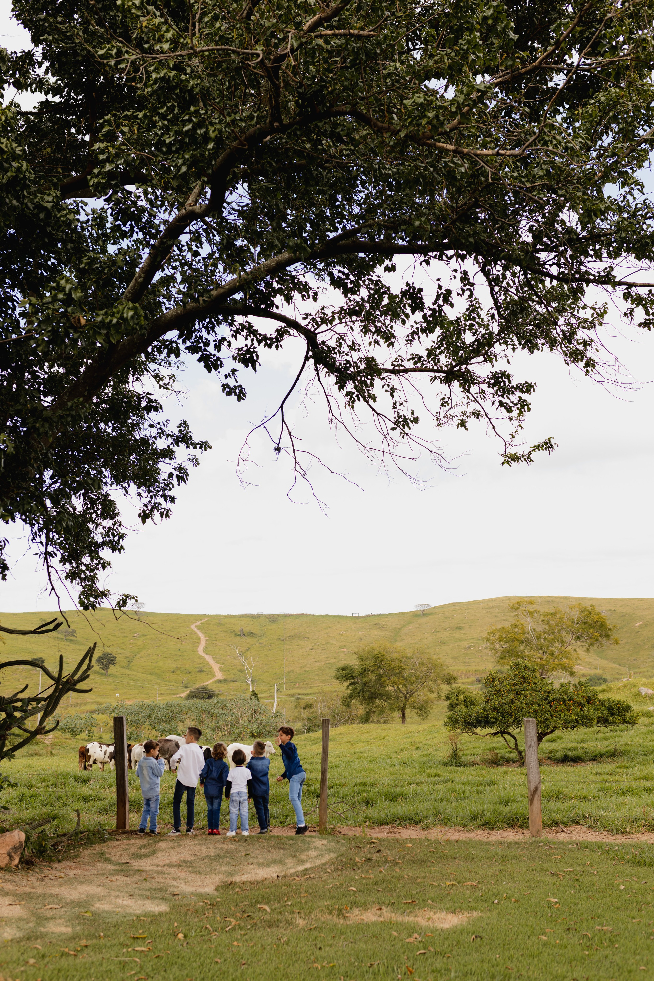 Família Braga. Amare Fotografia de Casamento