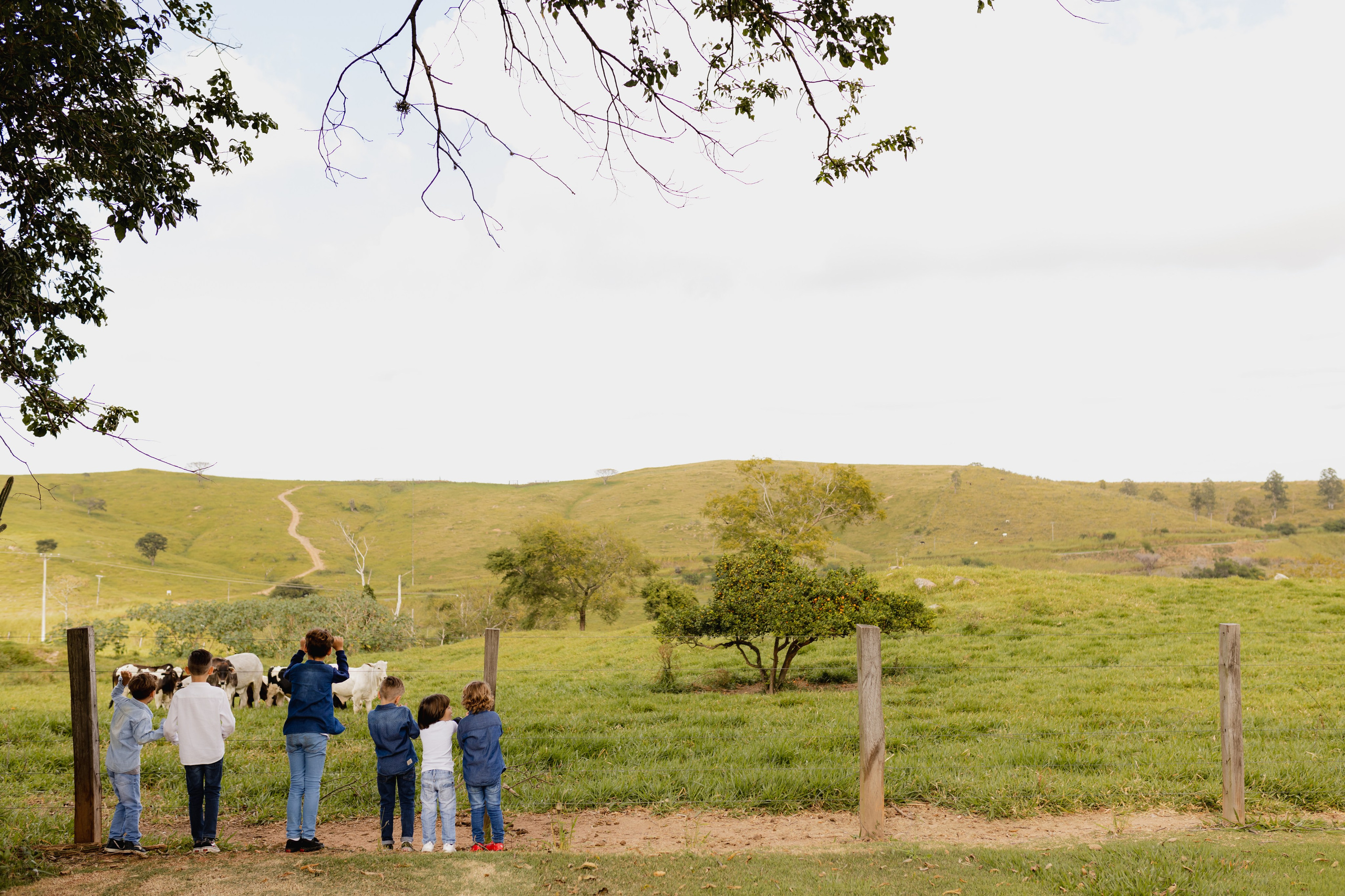 Família Braga. Amare Fotografia de Casamento