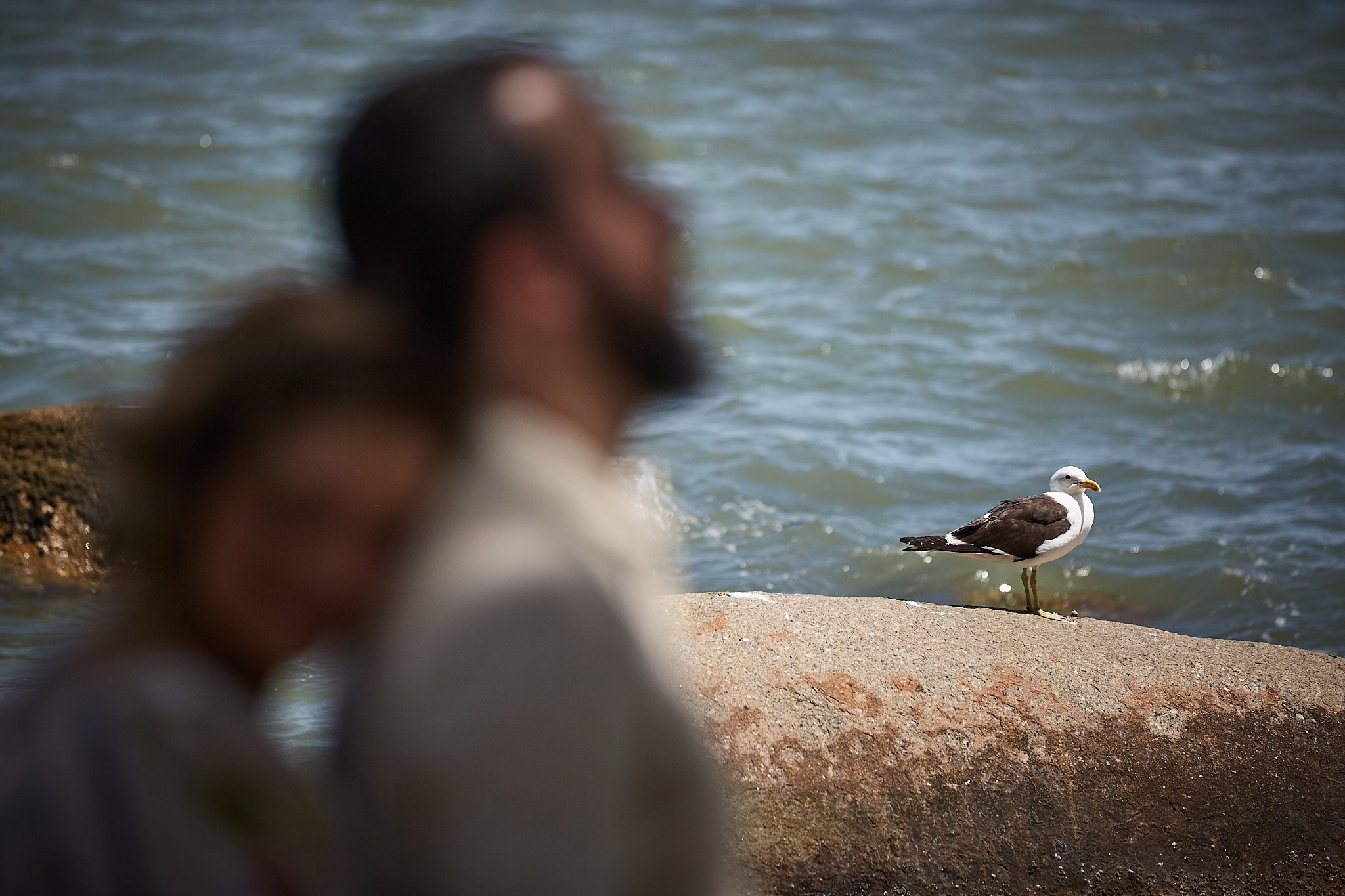Ensaio Kitty e Fábio. Fotógrafo de casamentos em Florianópolis