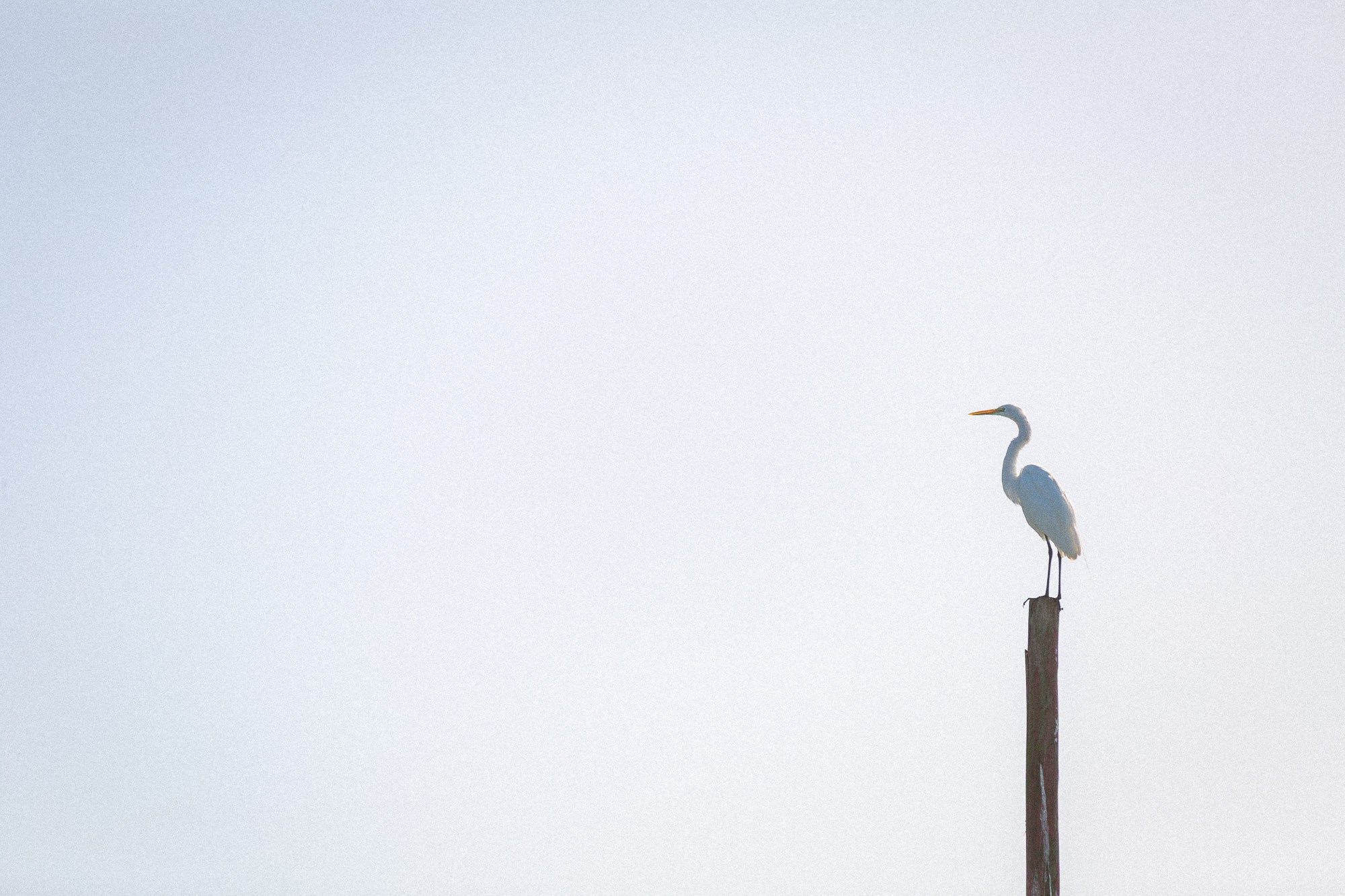 Linha D'água. Fotógrafo de casamentos em Florianópolis