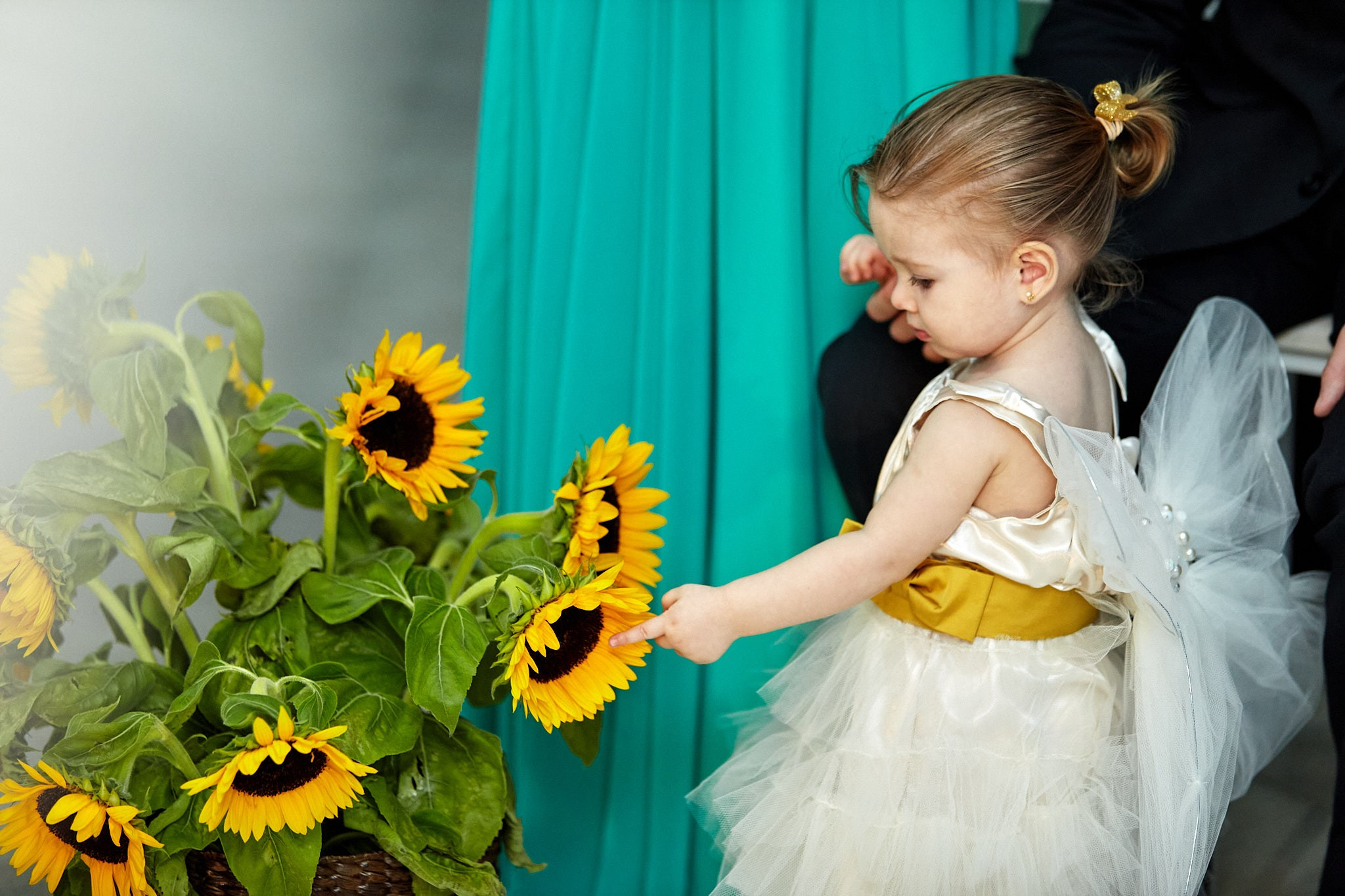 Casamento Letícia e Rodrigo. Fotógrafo de casamentos em Florianópolis