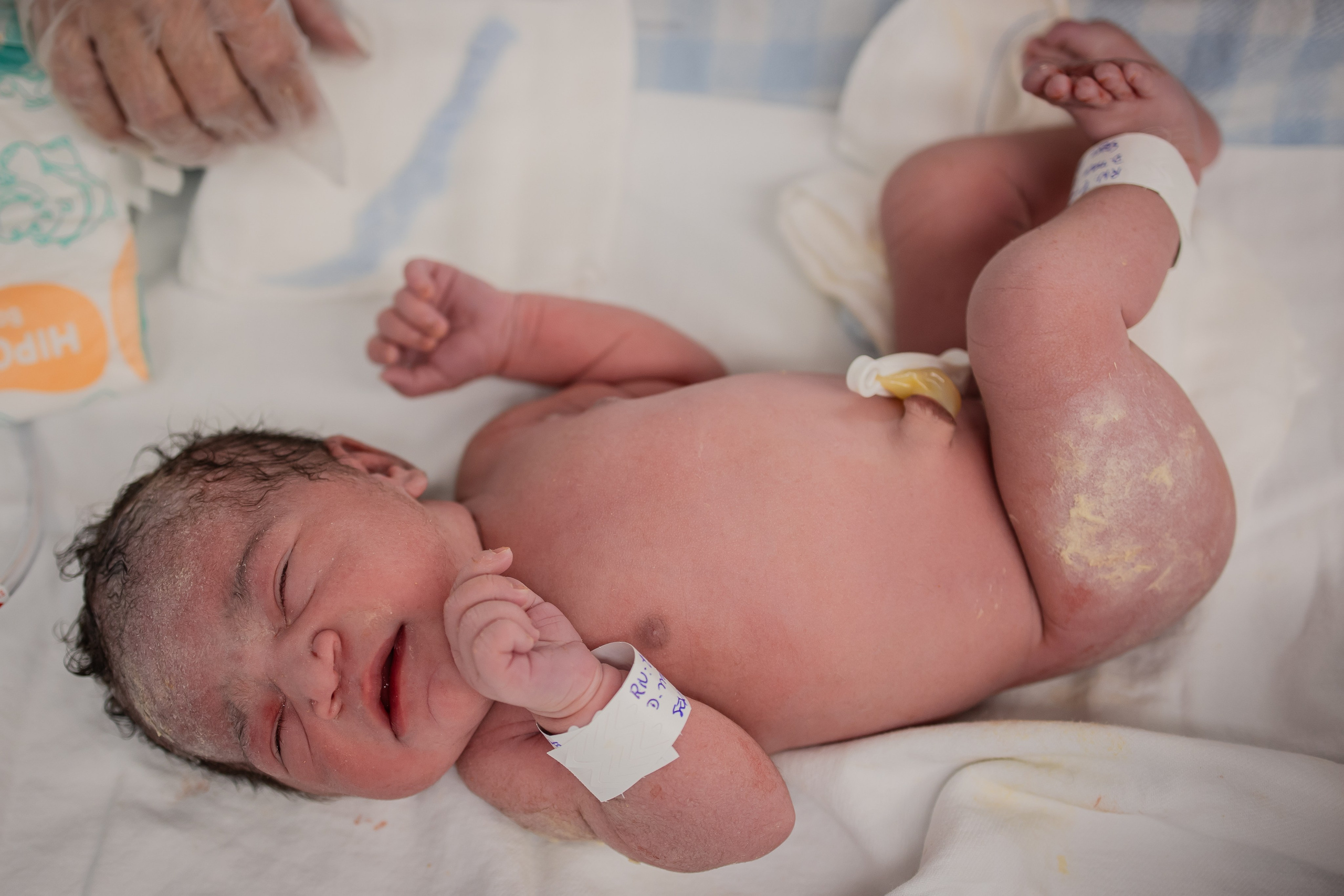 A chegada de Arielle. Fotografa de Família Jaque Mesquita
