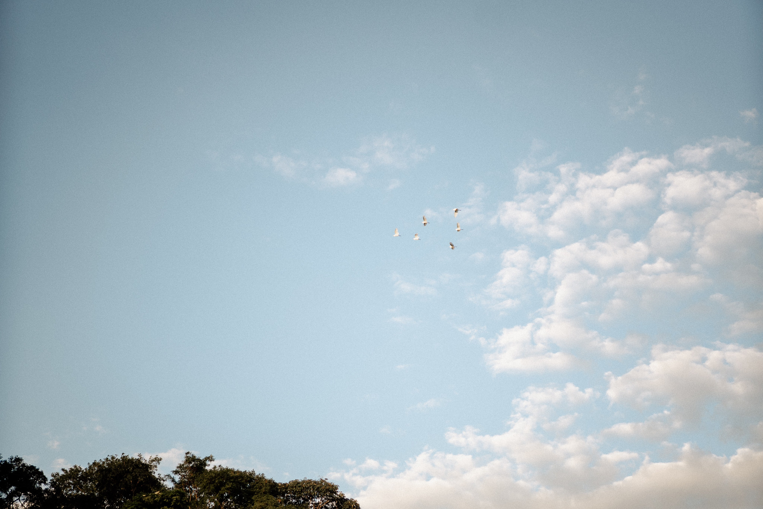 Amanda & Gustavo. Congiu Wedding