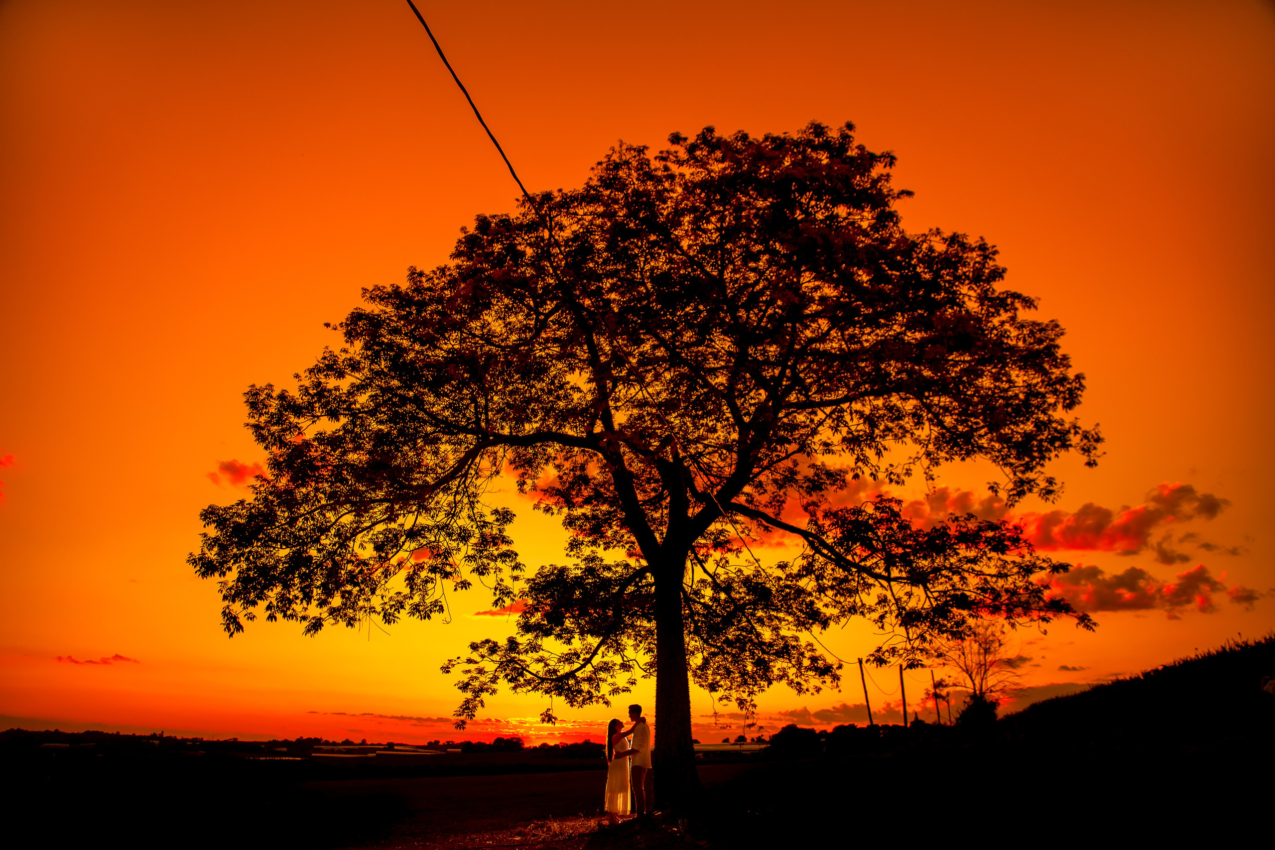 foto ao por do sol ensaio holambra