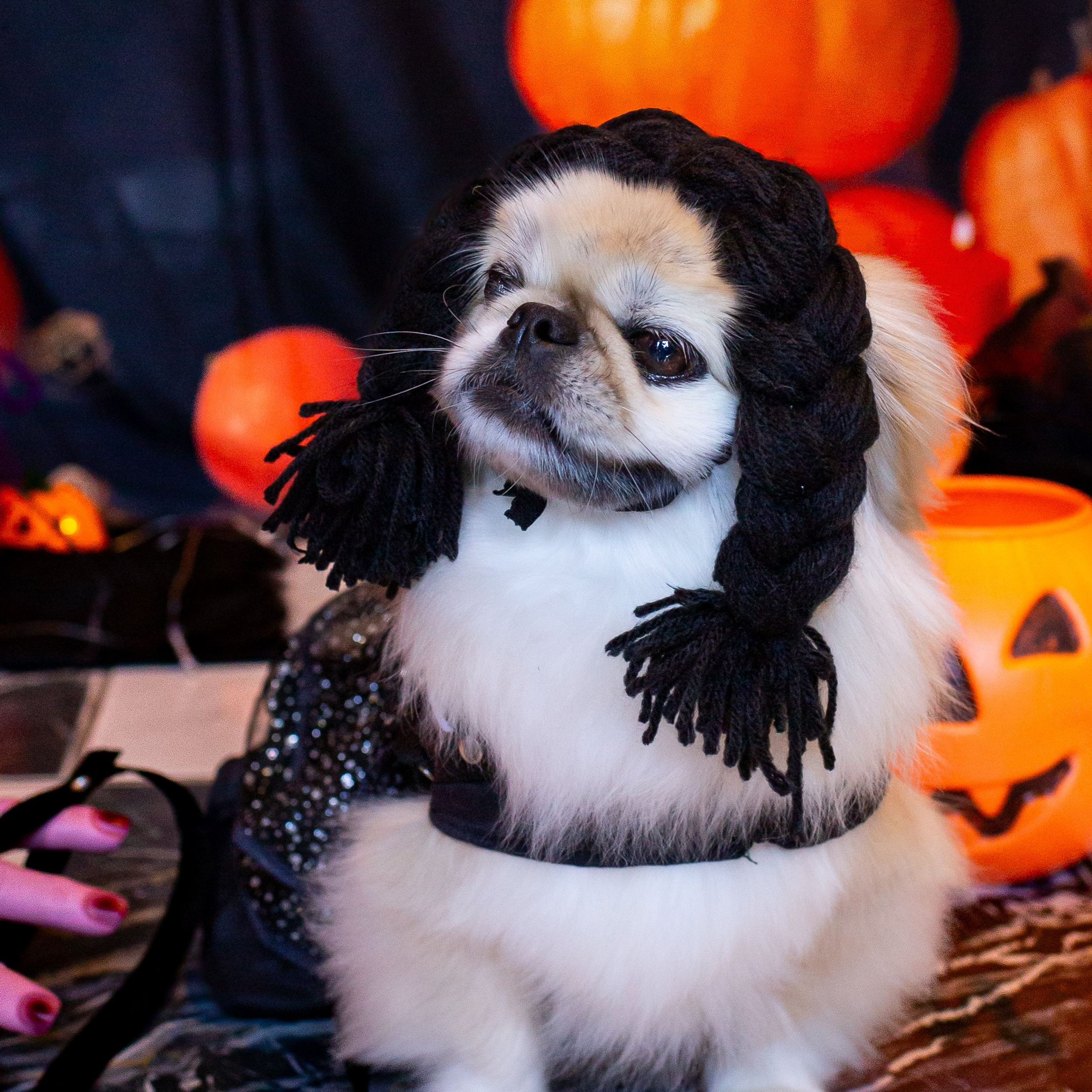 Hallowen 2025 — Café Cordel