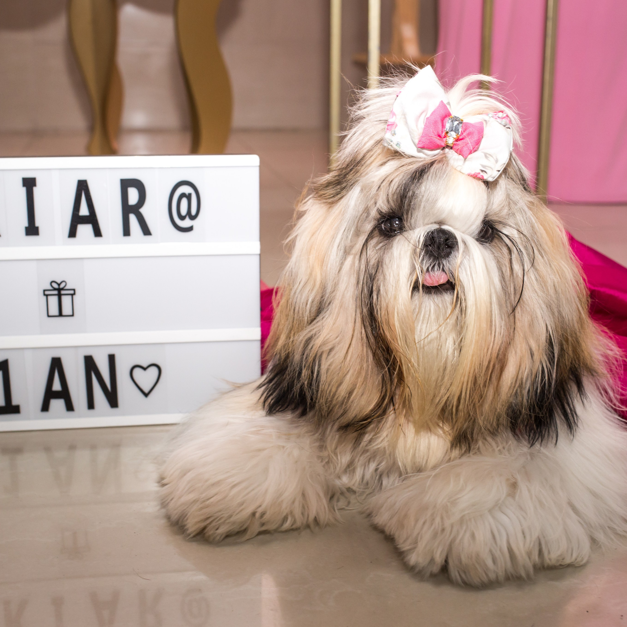 Kiara — 1 aninho