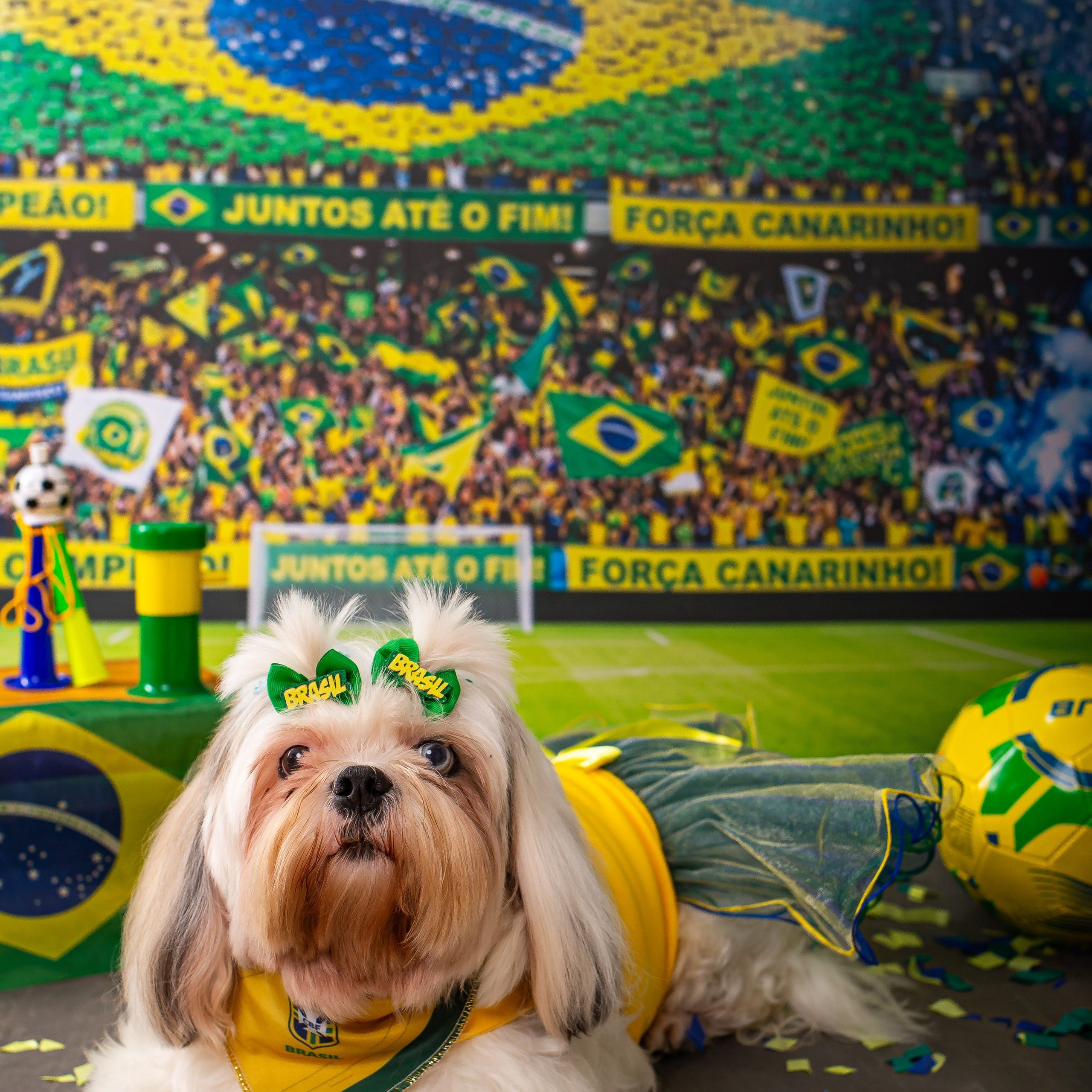 Copa do mundo 2026