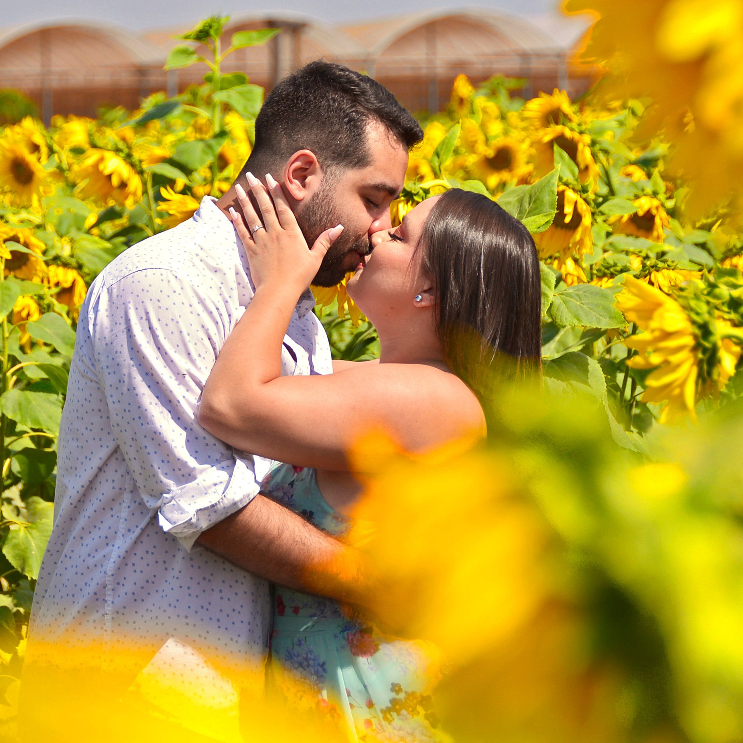 Vanessa & Victor&nbsp;— Campo Macena, Holambra