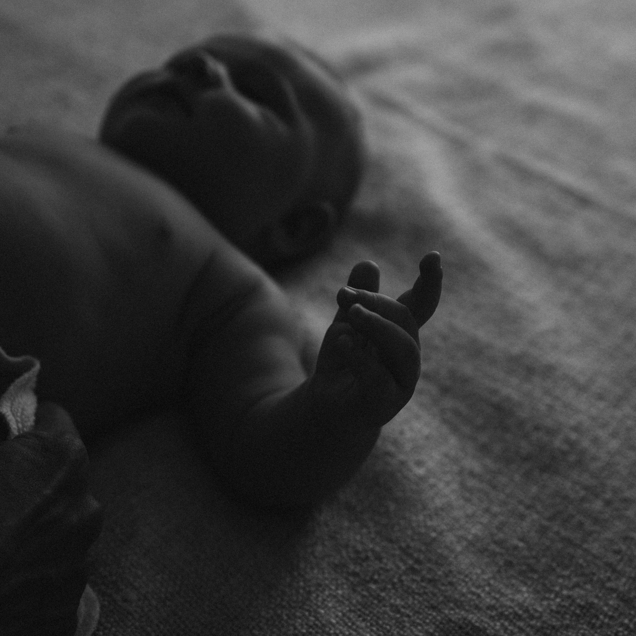 Tatiana Ivan Sofi 6,5 meses. Fotografa de família e crianças em Florianópolis SC Daria Ermolaev
