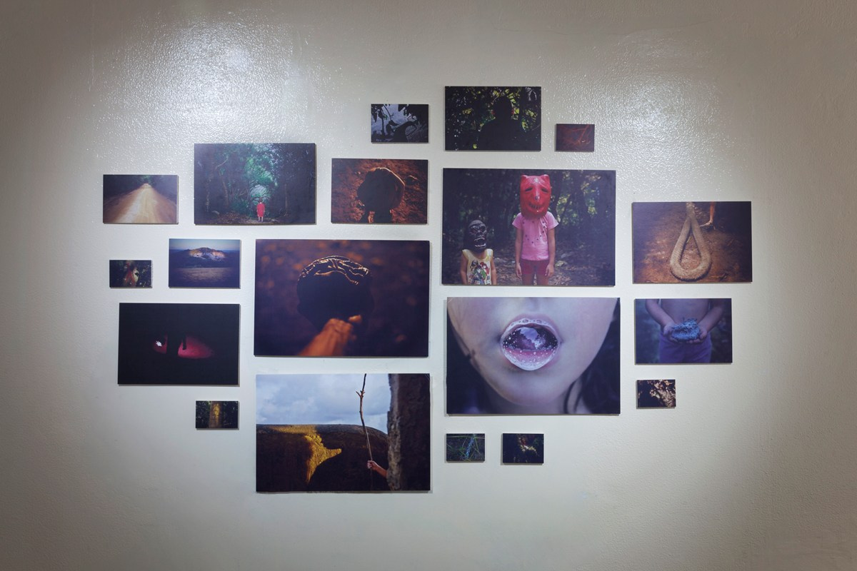 2018 — To Fly Beyond the Wing. Curator, editor, researcher, and educator in Latin American photography Maíra C. Gamarra
