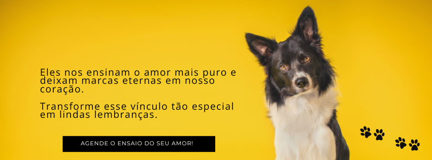 Fotografia Pet — estúdio, eventos, aniversários, ensaios temáticos
