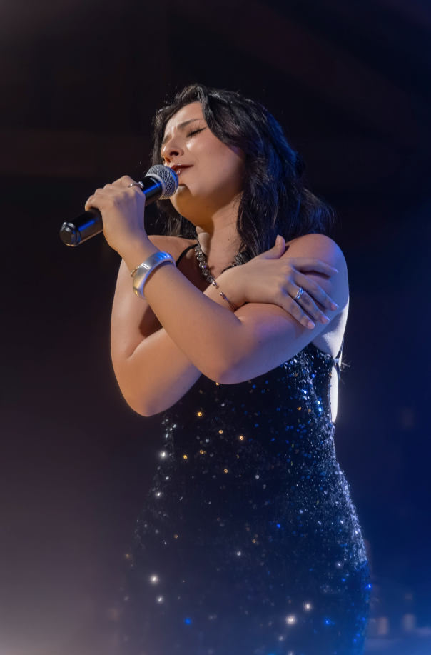 Bandas e Shows | Will Reis fotografia