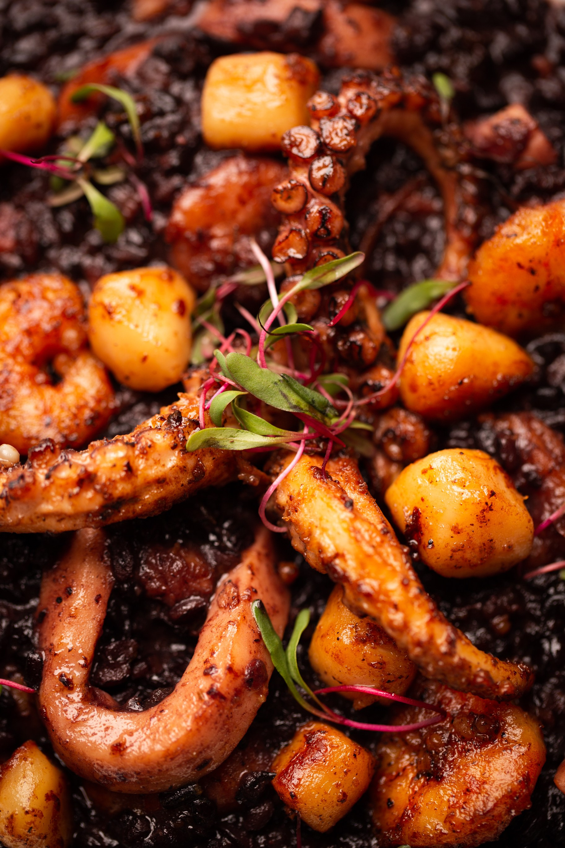 Fotógrafo de Gastronomia e Produtos — SJC, todo Brasil
